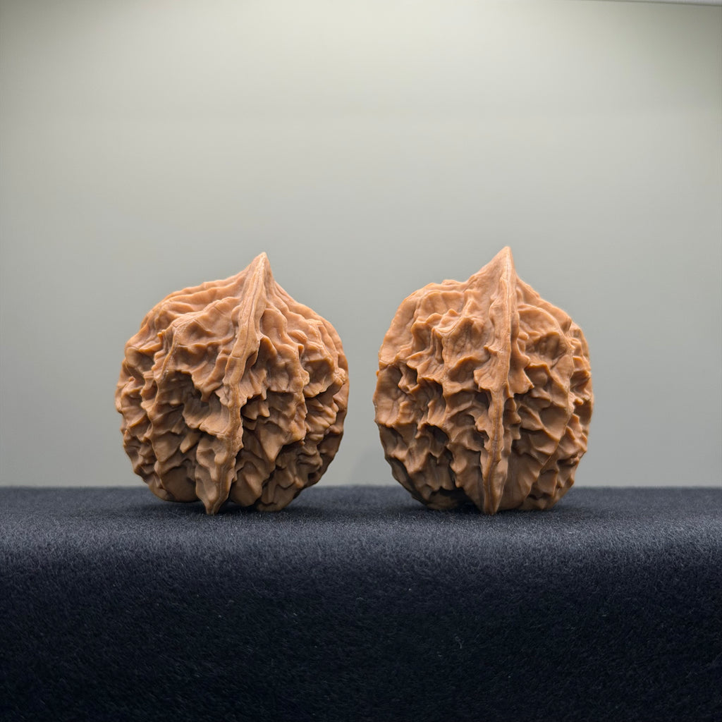 Emperor Wenwan Walnut · 39mm · Natural · Select Ritual