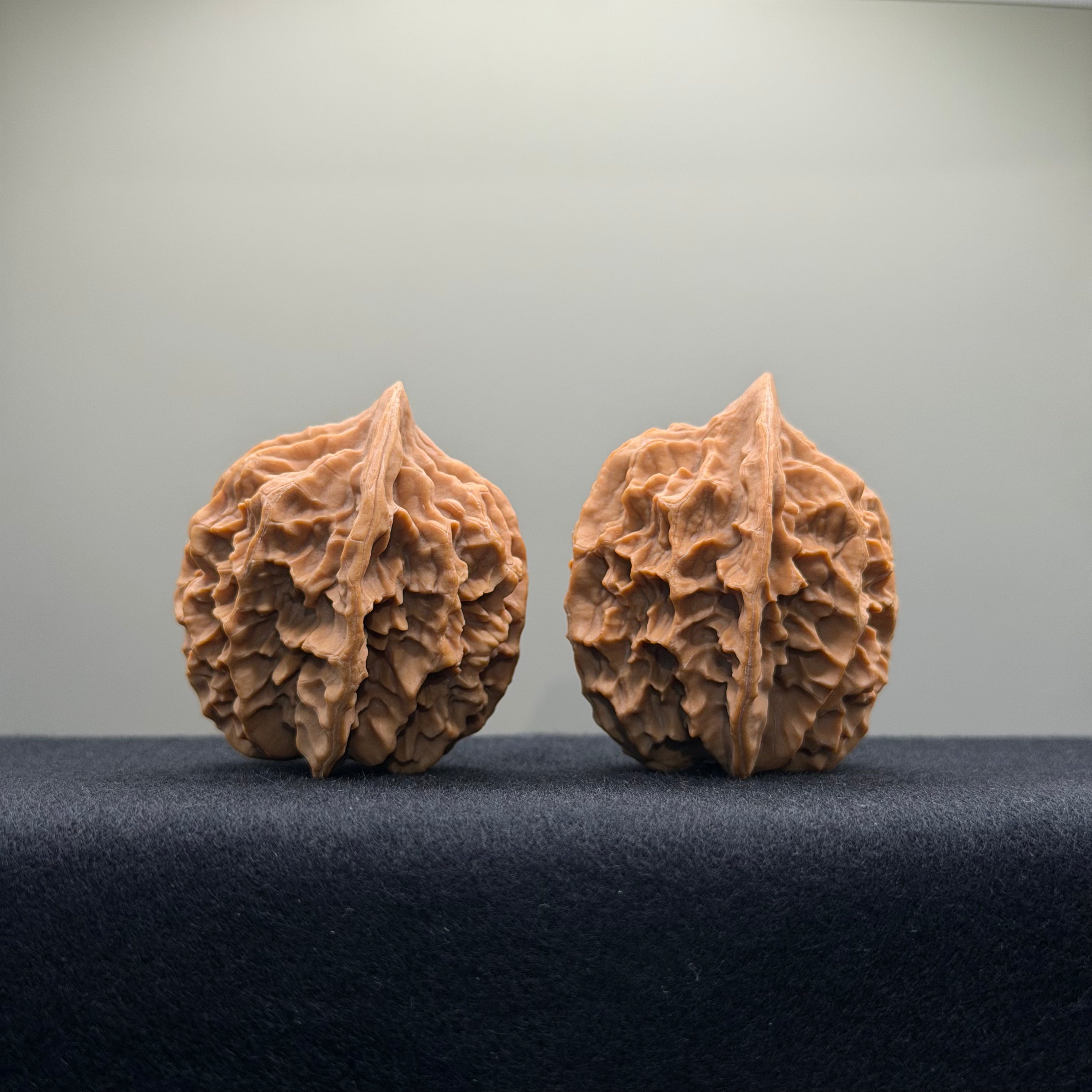 Emperor Wenwan Walnut · 39mm · Natural · Select Ritual