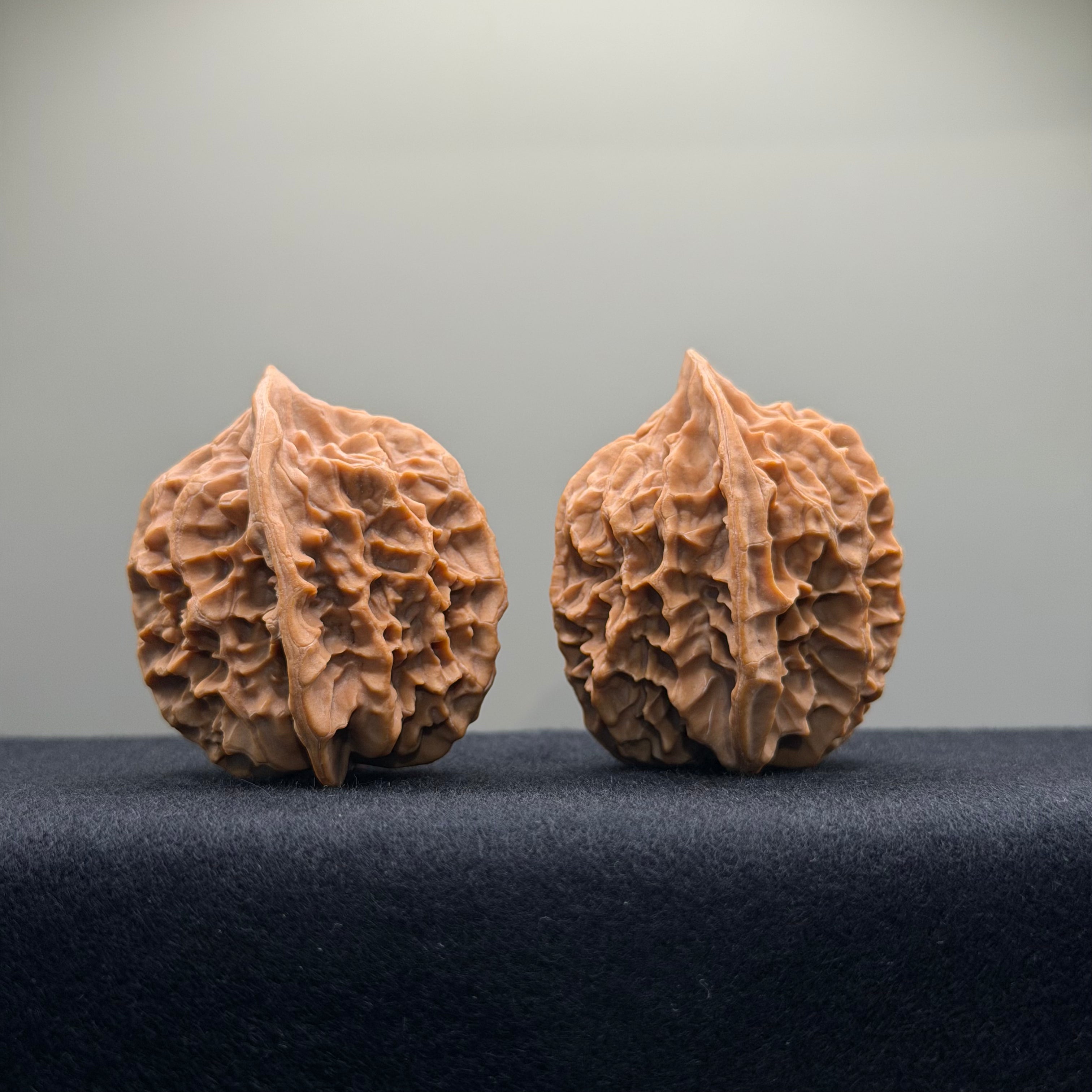 Emperor Wenwan Walnut · 39mm · Natural · Select Ritual