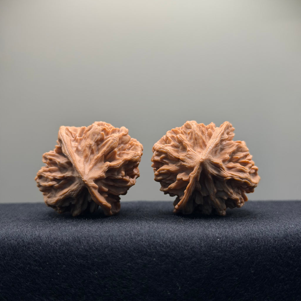 Emperor Wenwan Walnut · 39mm · Natural · Select Ritual