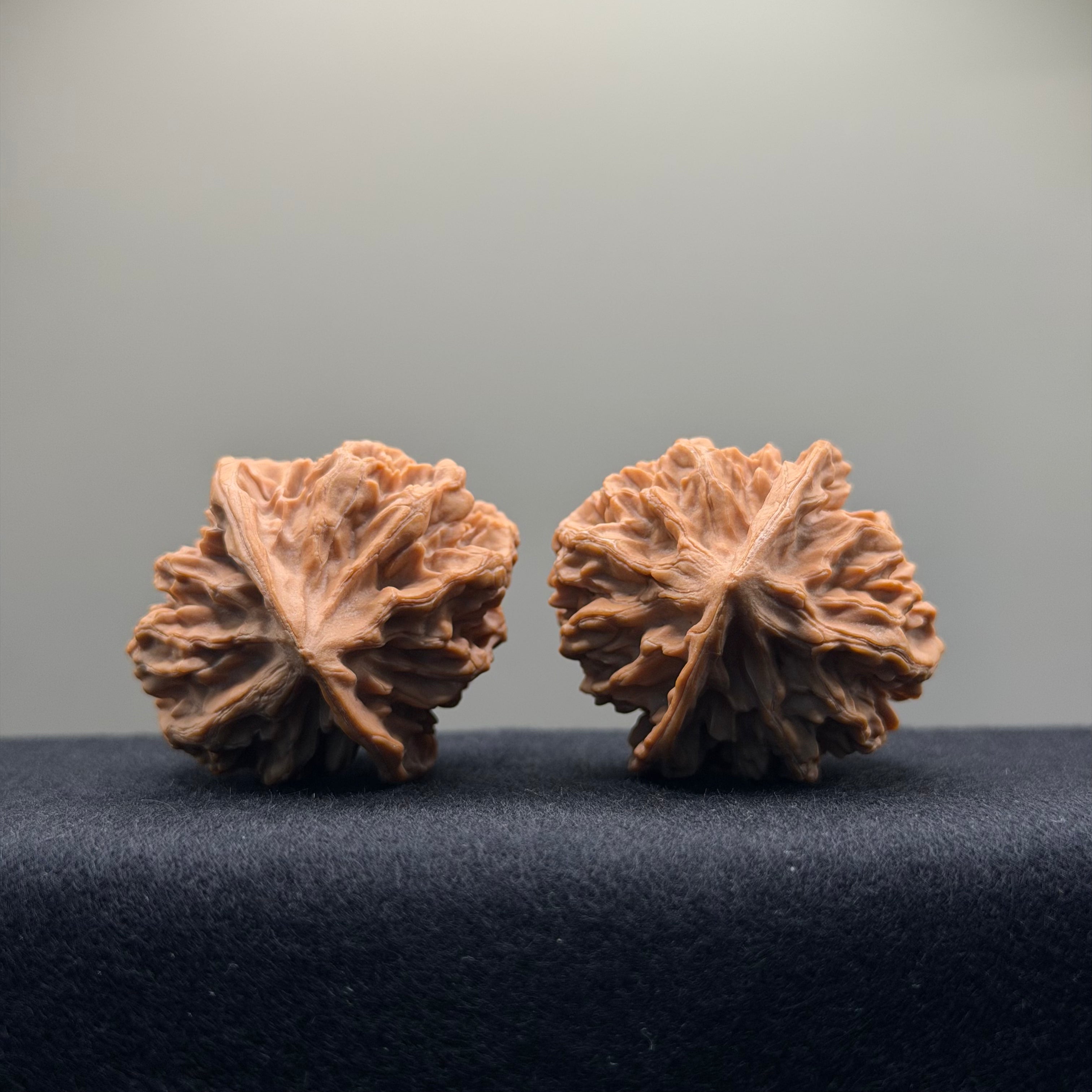 Emperor Wenwan Walnut · 39mm · Natural · Select Ritual