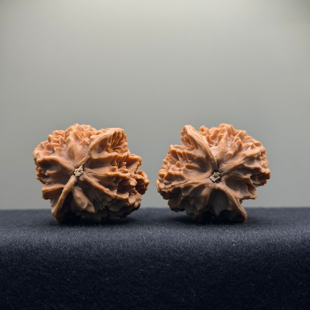 Emperor Wenwan Walnut · 39mm · Natural · Select Ritual