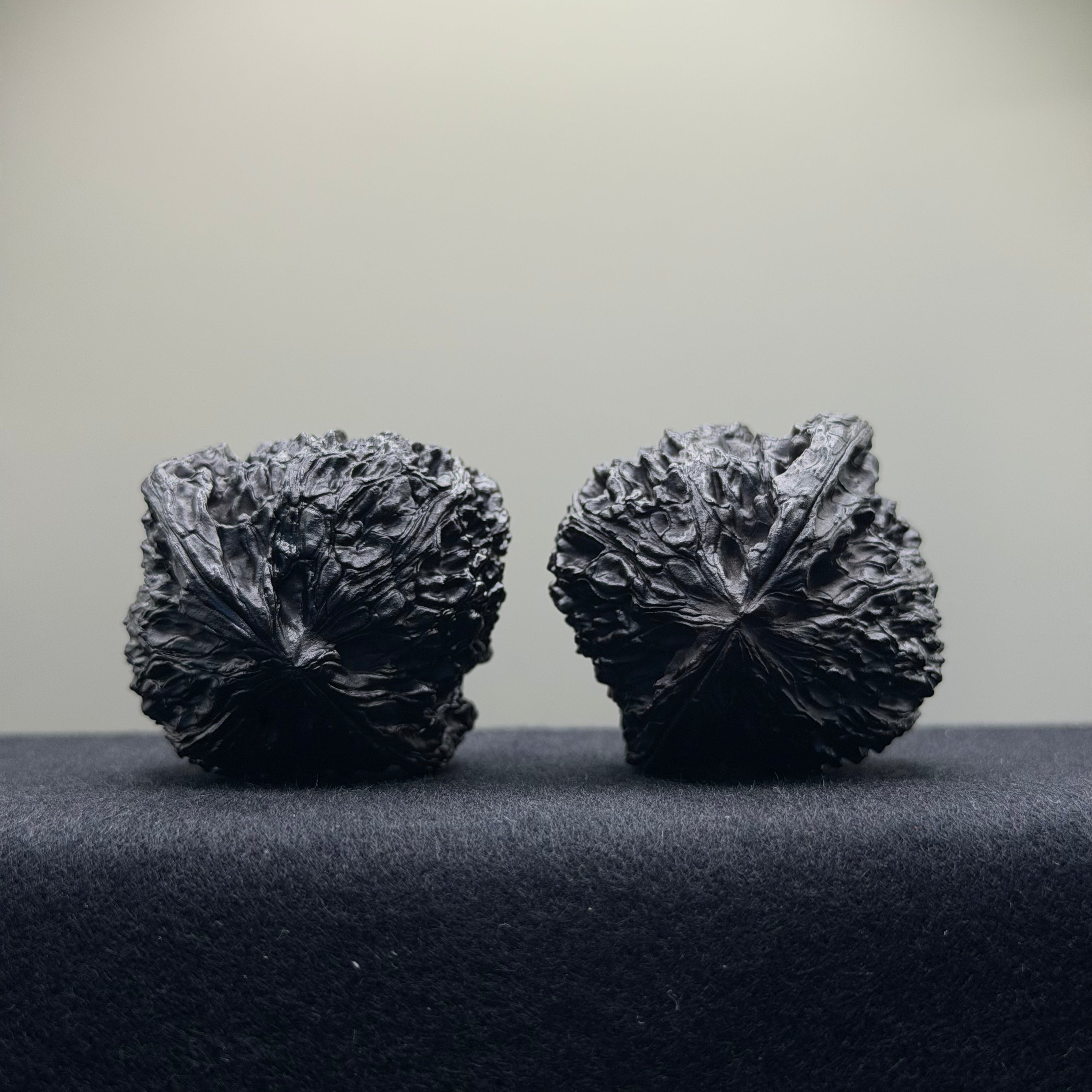 Ground Buried Wenwan Walnut · 43mm · Select Ritual