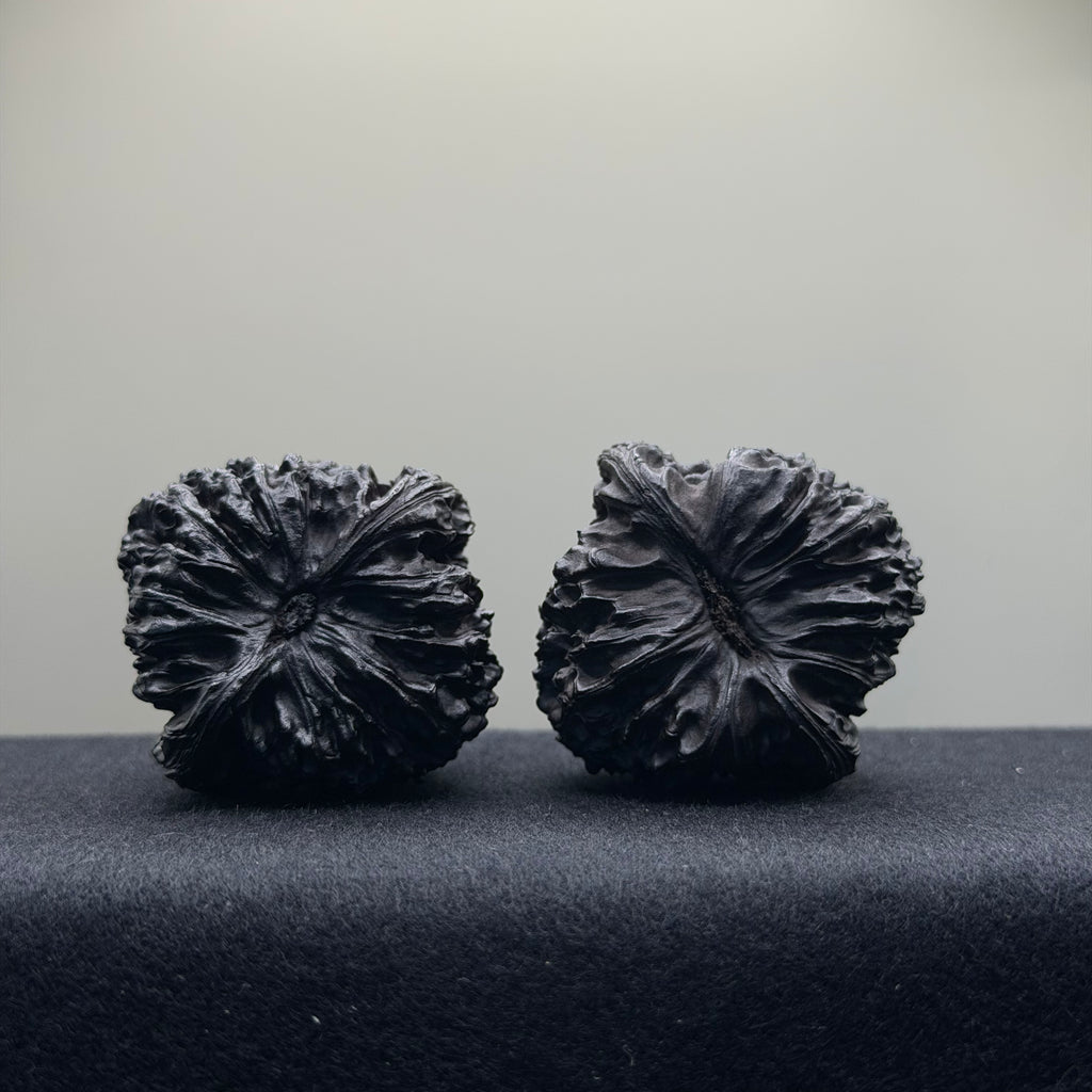 Ground Buried Wenwan Walnut · 43mm · Select Ritual