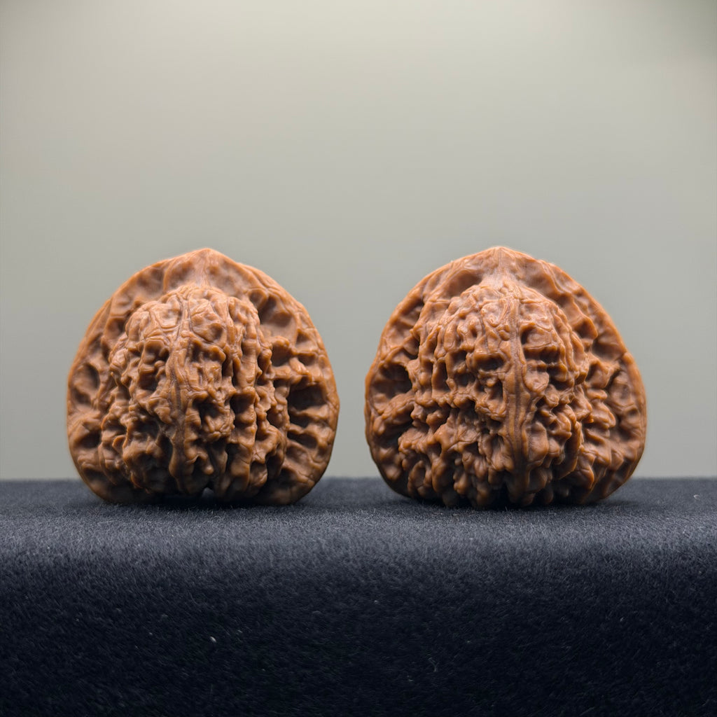 Nanjiang Stone Wenwan Walnut · 44mm · Premium Ritual