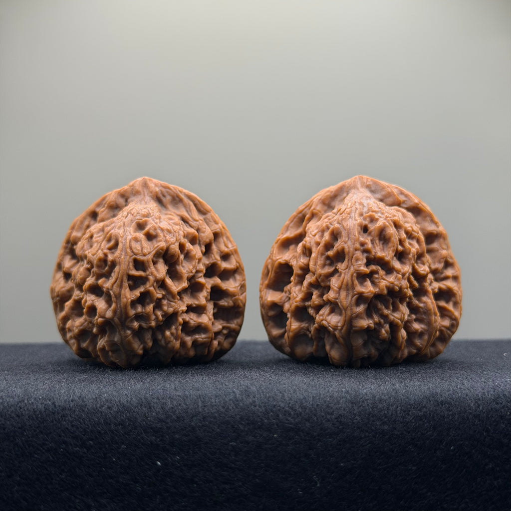 Nanjiang Stone Wenwan Walnut · 44mm · Premium Ritual