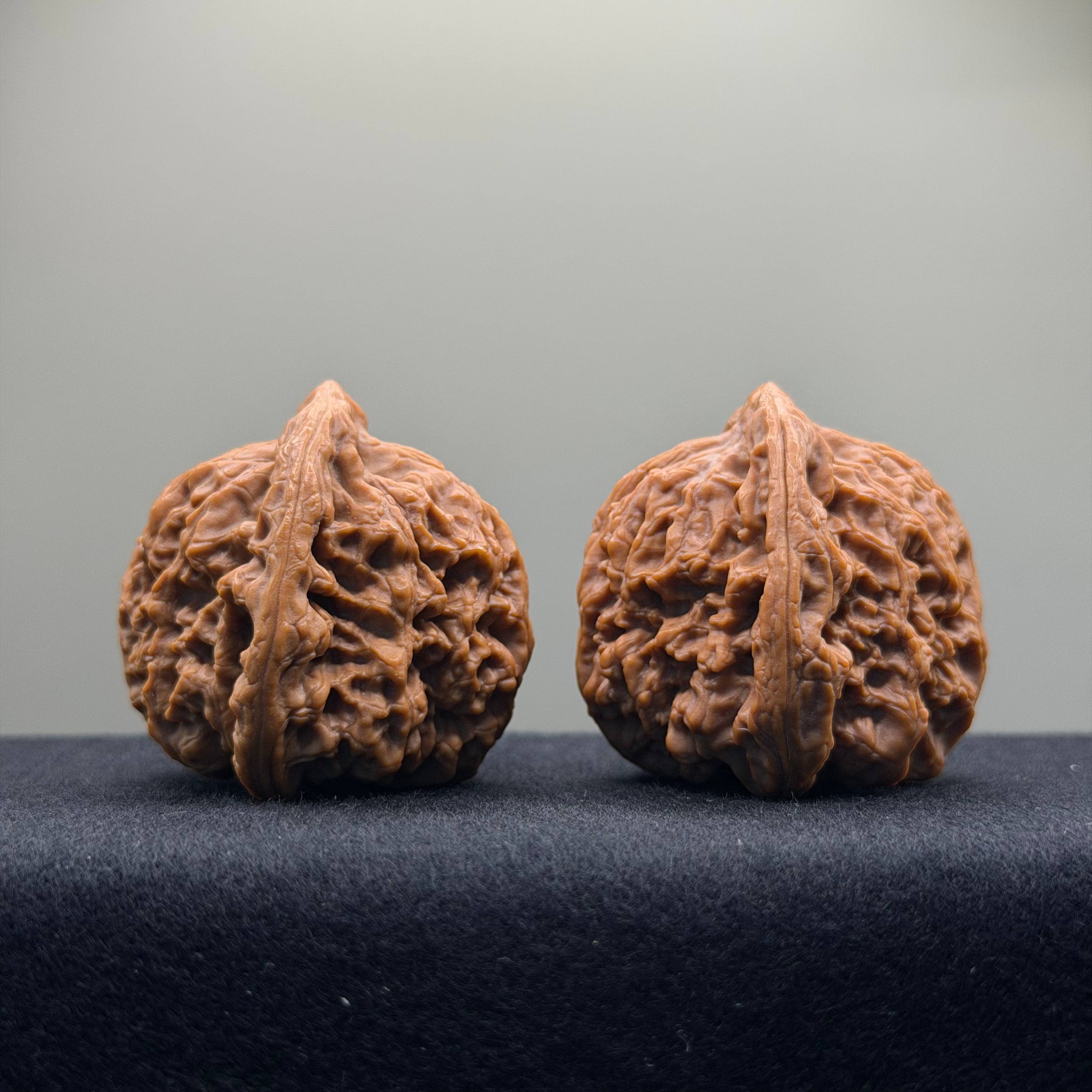 Nanjiang Stone Wenwan Walnut · 44mm · Premium Ritual