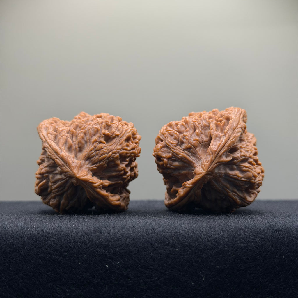 Nanjiang Stone Wenwan Walnut · 44mm · Premium Ritual