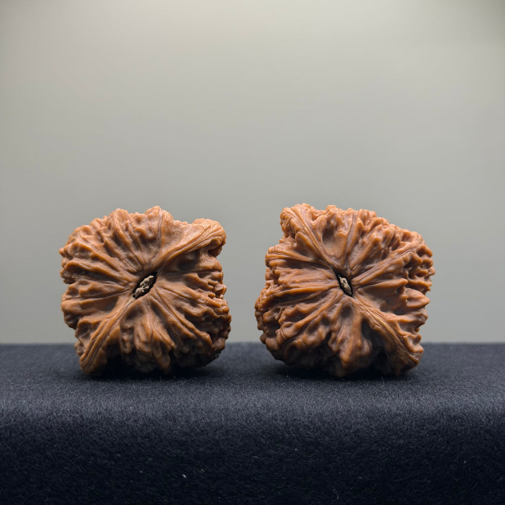 Nanjiang Stone Wenwan Walnut · 44mm · Premium Ritual