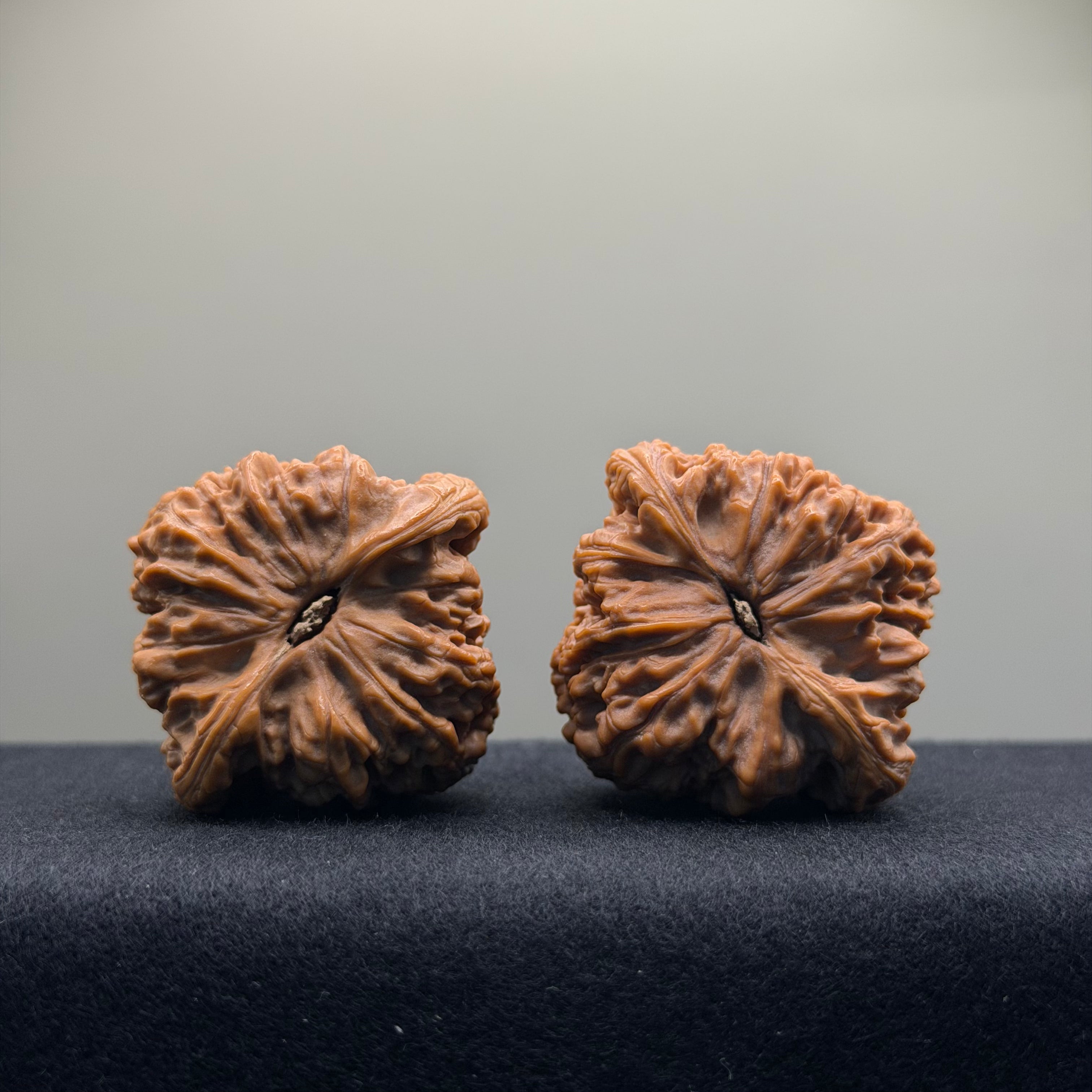 Nanjiang Stone Wenwan Walnut · 44mm · Premium Ritual