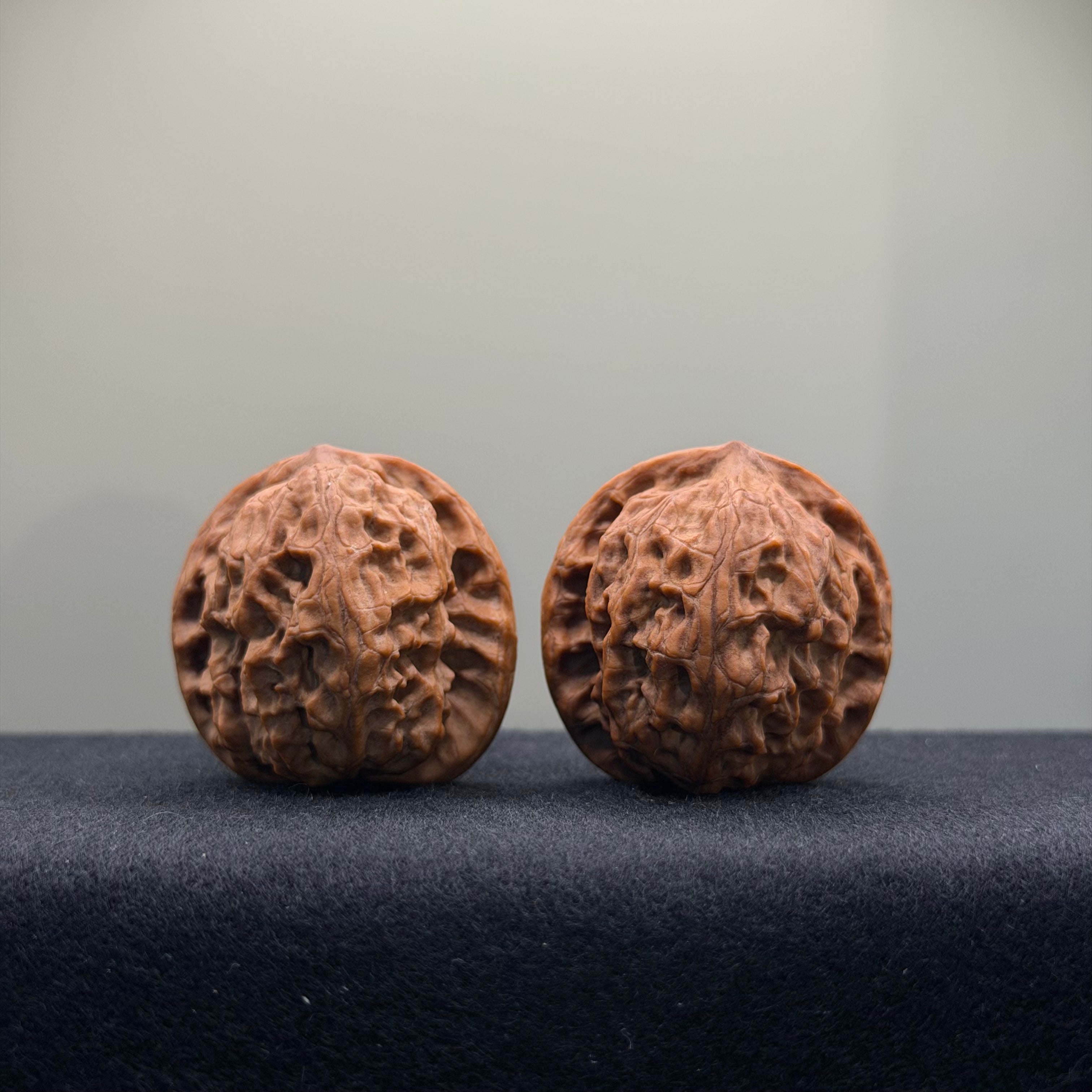 Wild Wolf Wenwan Walnut · 36mm · Natural · Select Ritual
