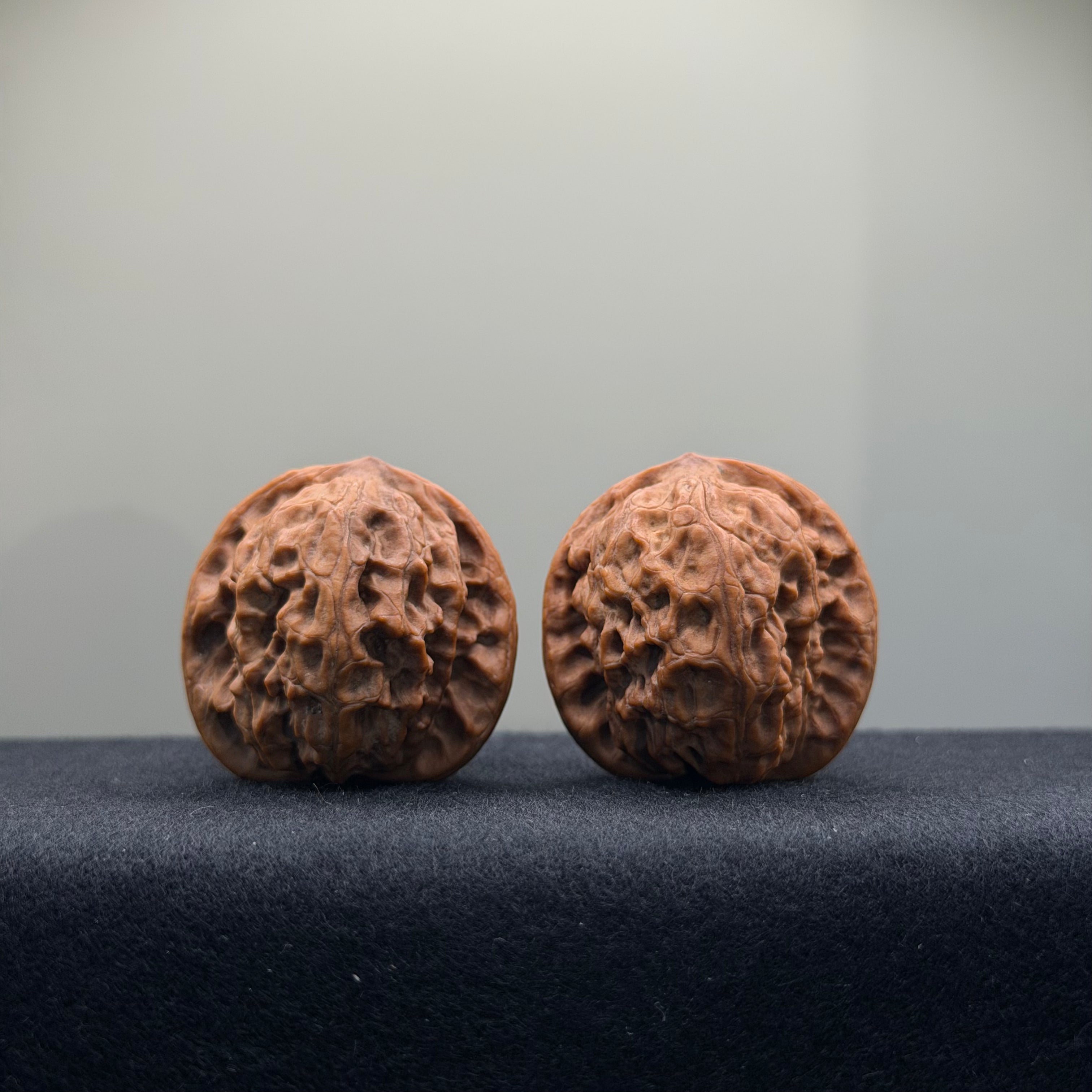 Wild Wolf Wenwan Walnut · 36mm · Natural · Select Ritual