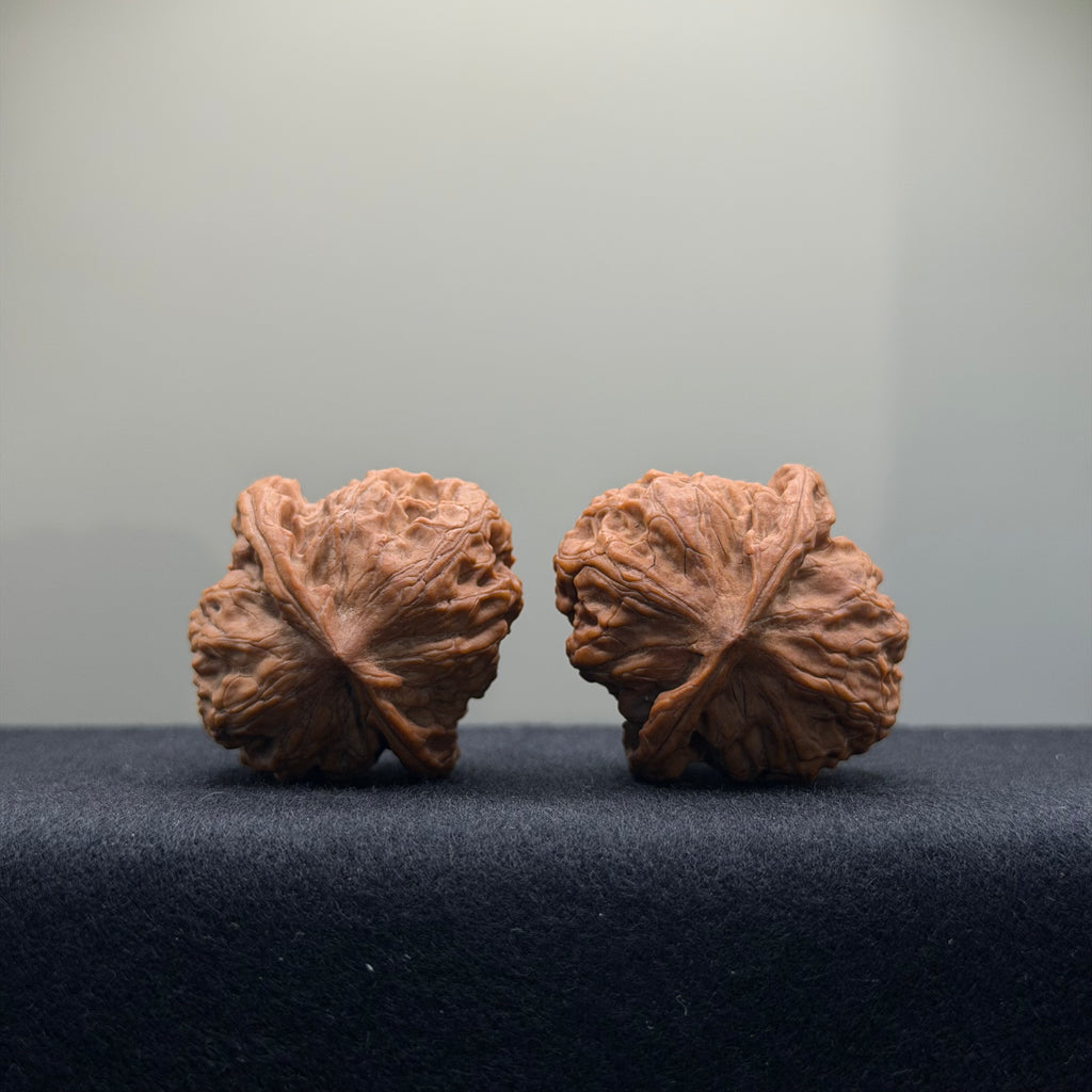 Wild Wolf Wenwan Walnut · 36mm · Natural · Select Ritual