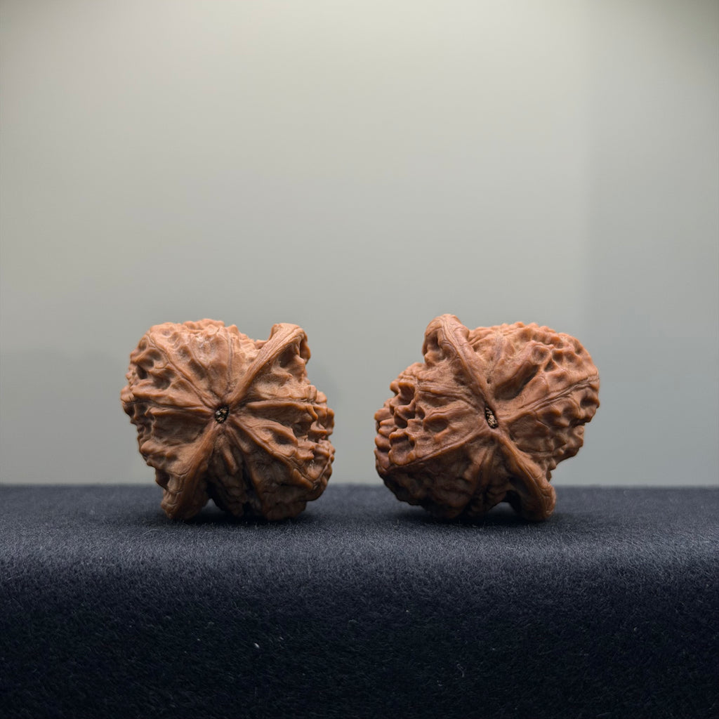 Wild Wolf Wenwan Walnut · 36mm · Natural · Select Ritual