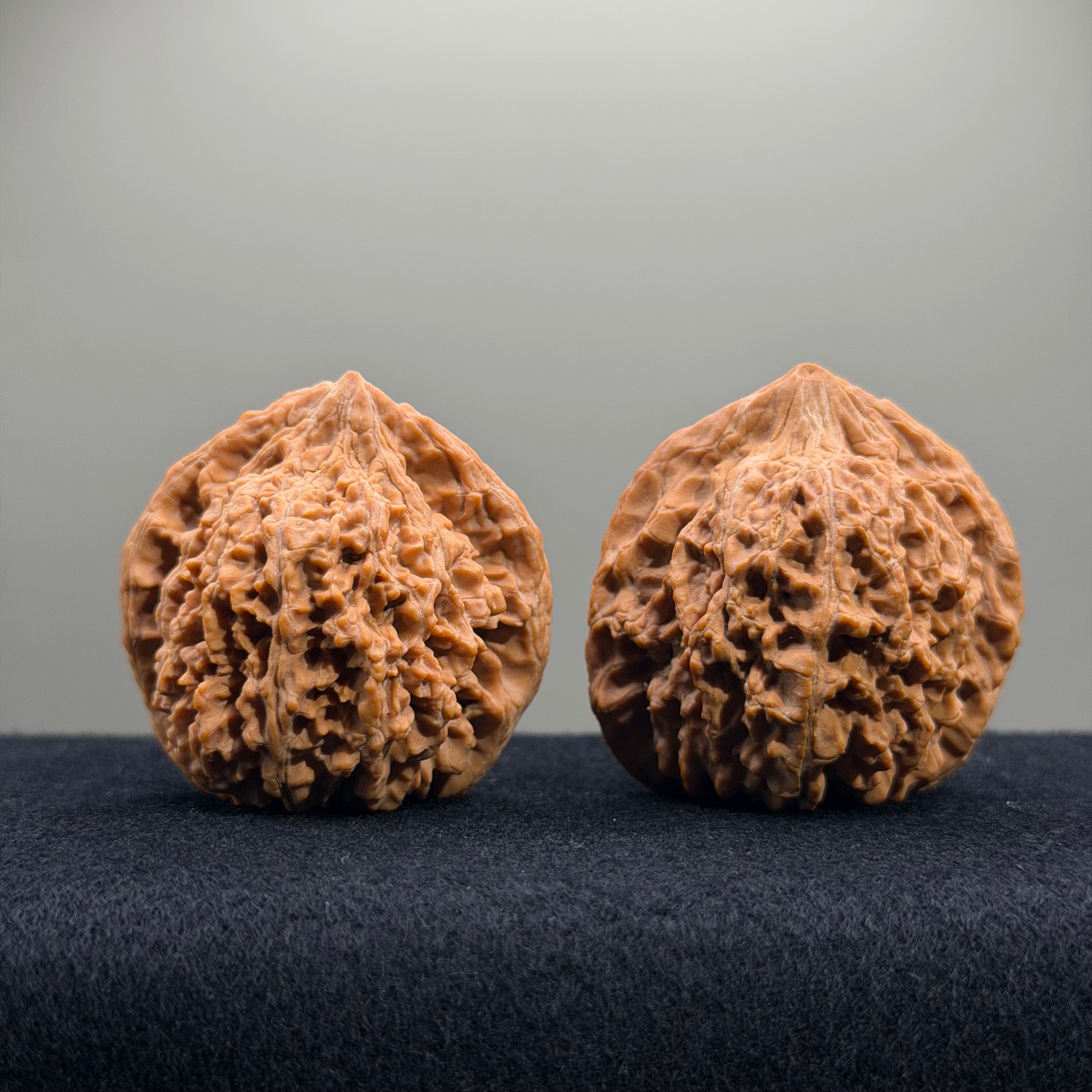 Starry Sky Wenwan Walnut · 44mm · Natural · Select Ritual