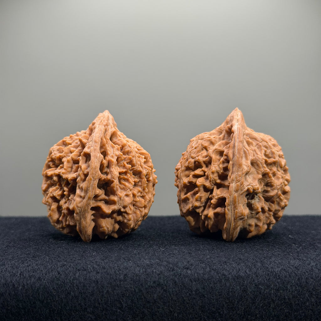 Starry Sky Wenwan Walnut · 44mm · Natural · Select Ritual