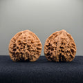 Starry Sky Wenwan Walnut · 42mm · Natural · Select Ritual