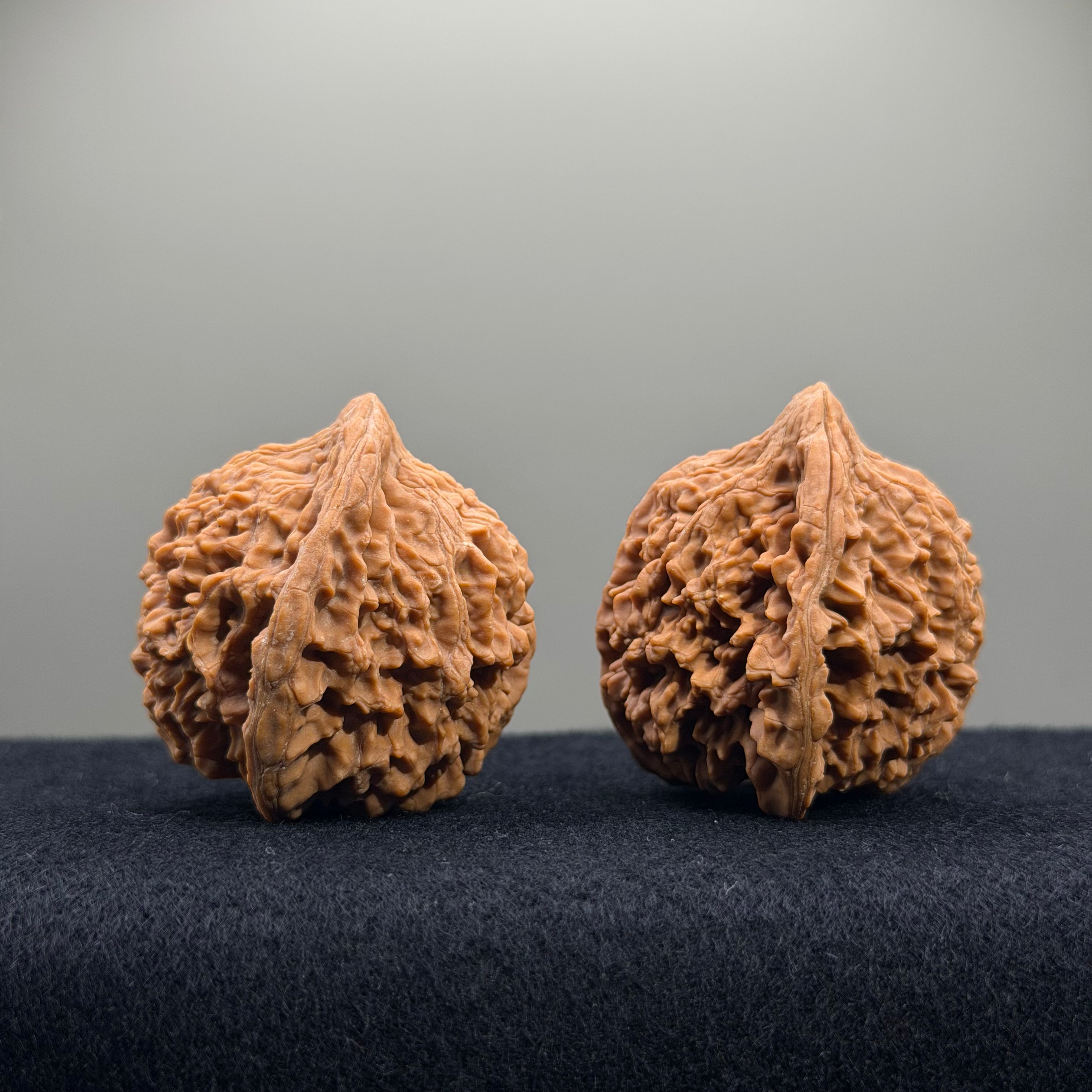 Starry Sky Wenwan Walnut · 42mm · Natural · Select Ritual