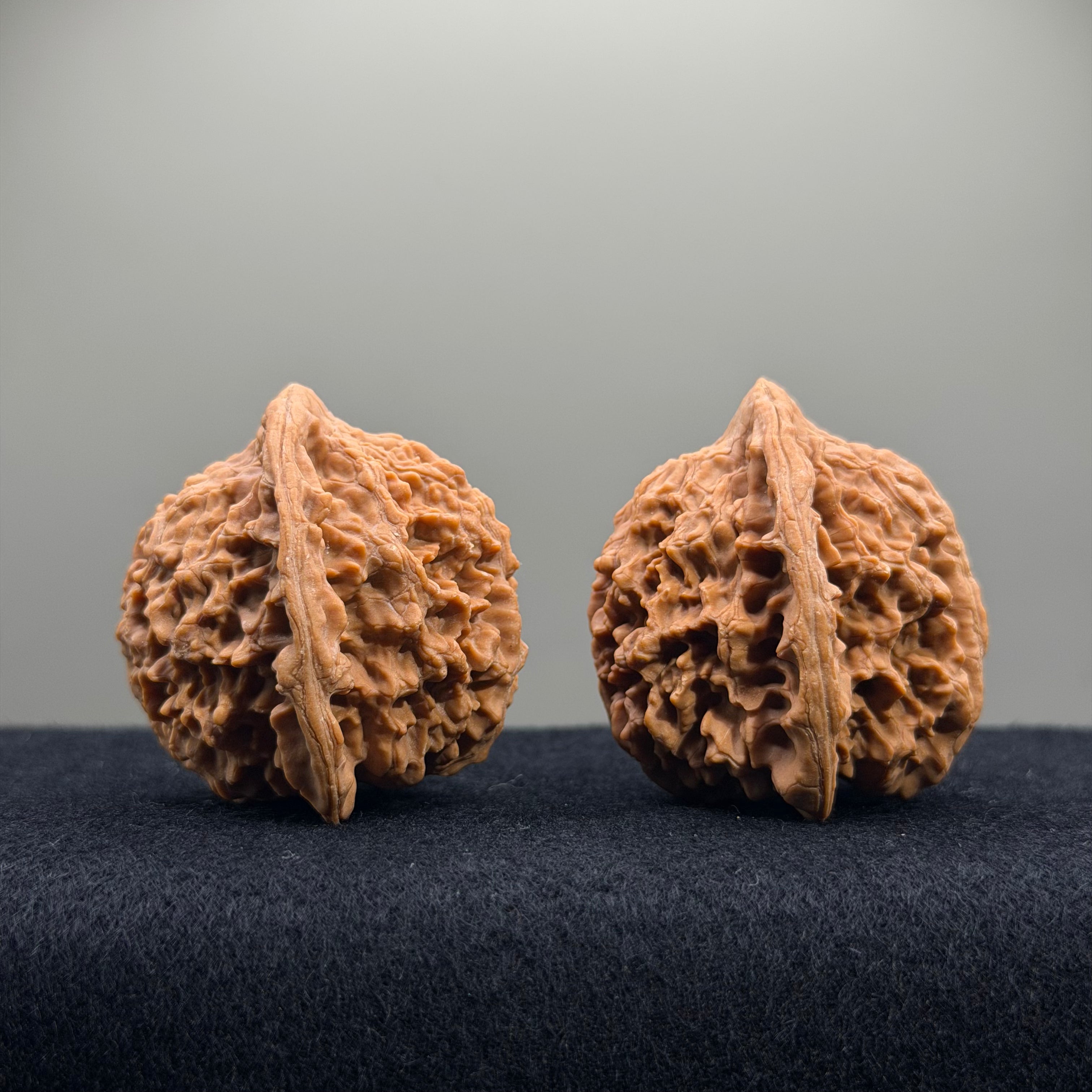 Starry Sky Wenwan Walnut · 42mm · Natural · Select Ritual