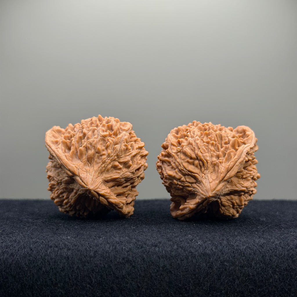 Starry Sky Wenwan Walnut · 42mm · Natural · Select Ritual