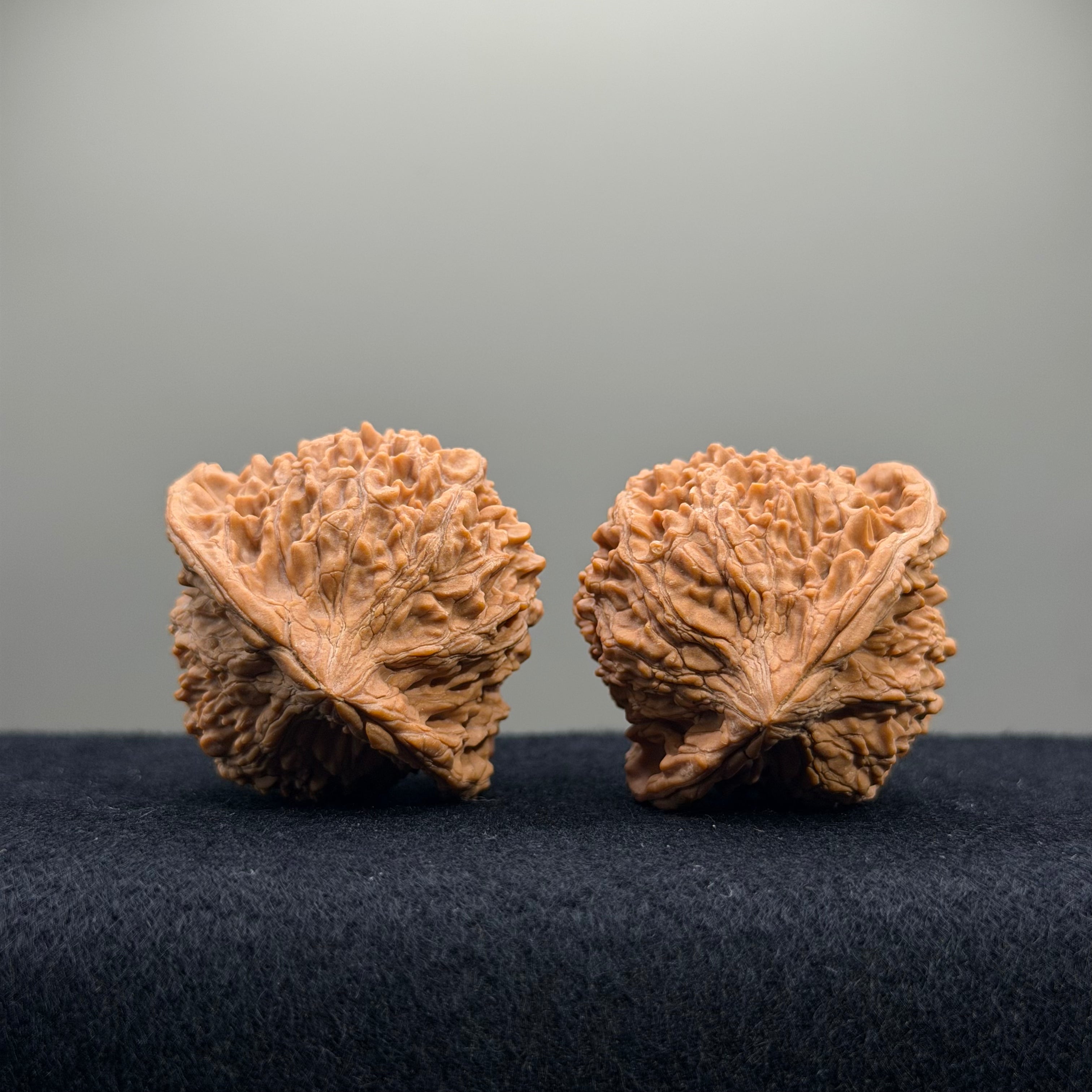 Starry Sky Wenwan Walnut · 42mm · Natural · Select Ritual