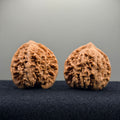 Starry Sky Wenwan Walnut · 41mm · Natural · Entry Ritual