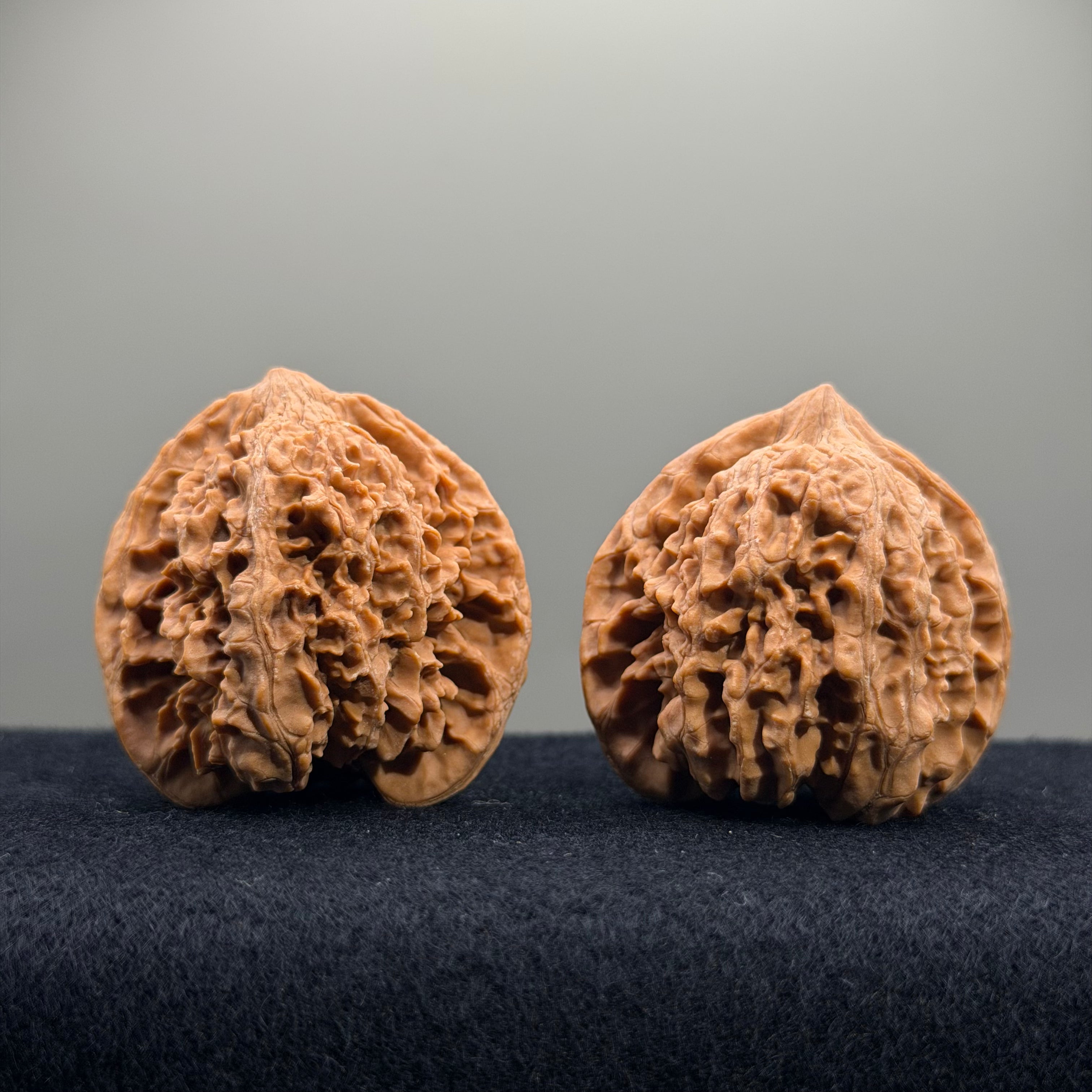 Starry Sky Wenwan Walnut · 41mm · Natural · Entry Ritual