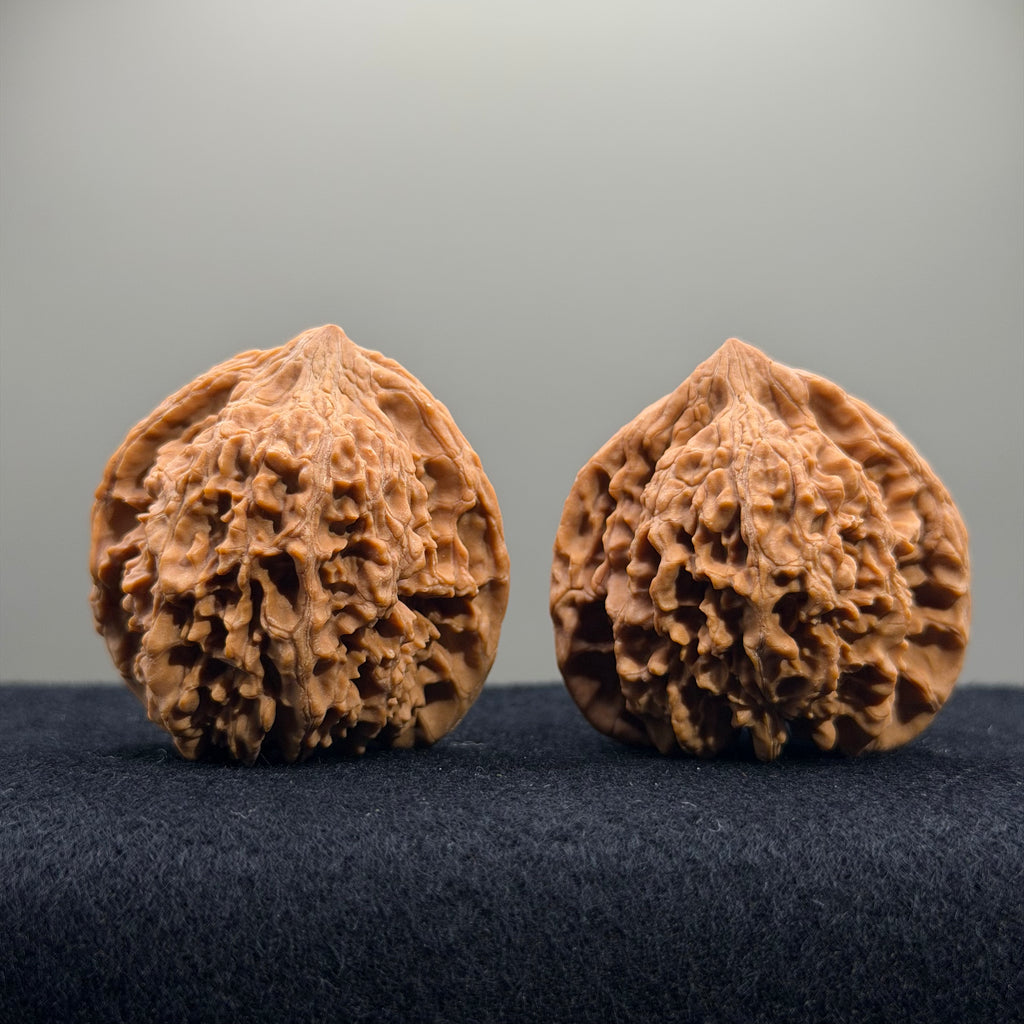 Starry Sky Wenwan Walnut · 41mm · Natural · Entry Ritual