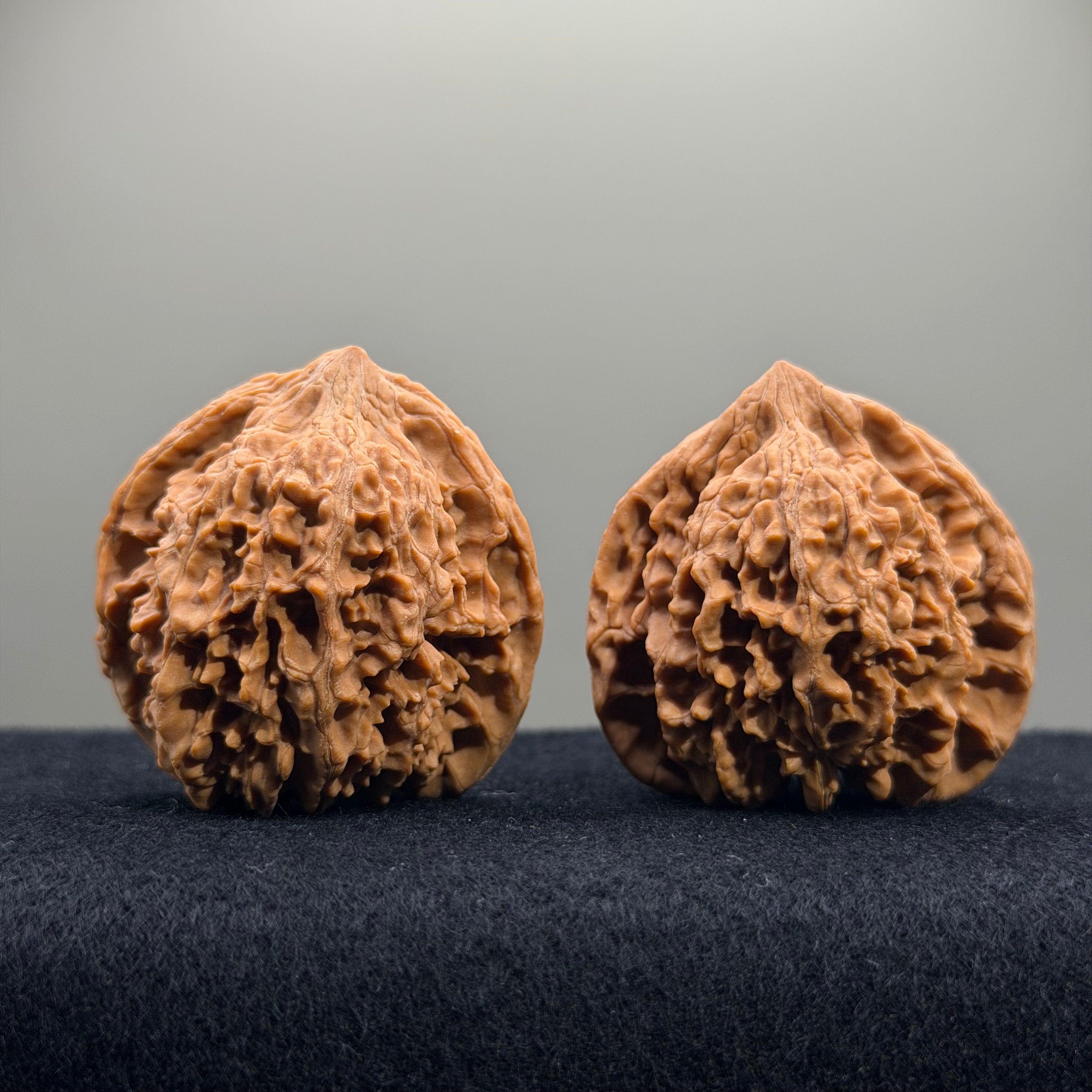 Starry Sky Wenwan Walnut · 41mm · Natural · Entry Ritual