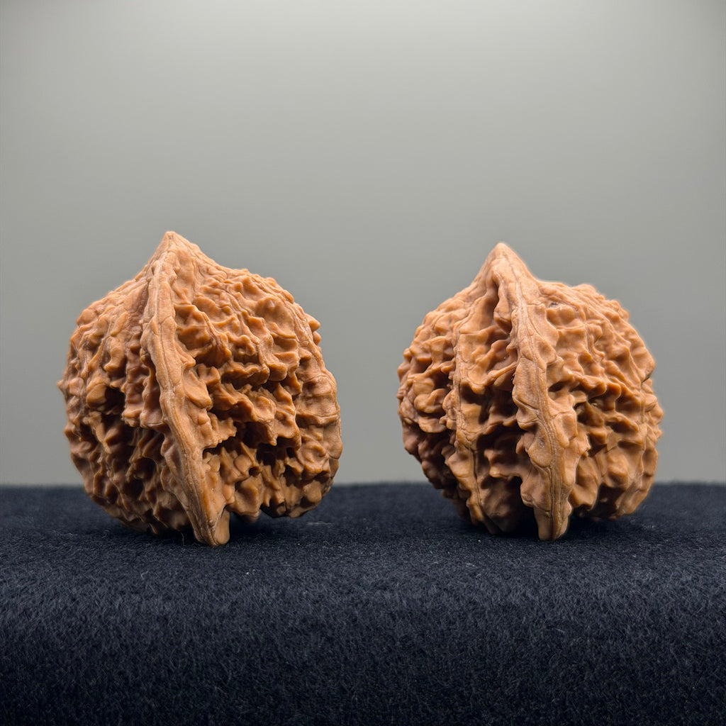 Starry Sky Wenwan Walnut · 41mm · Natural · Entry Ritual
