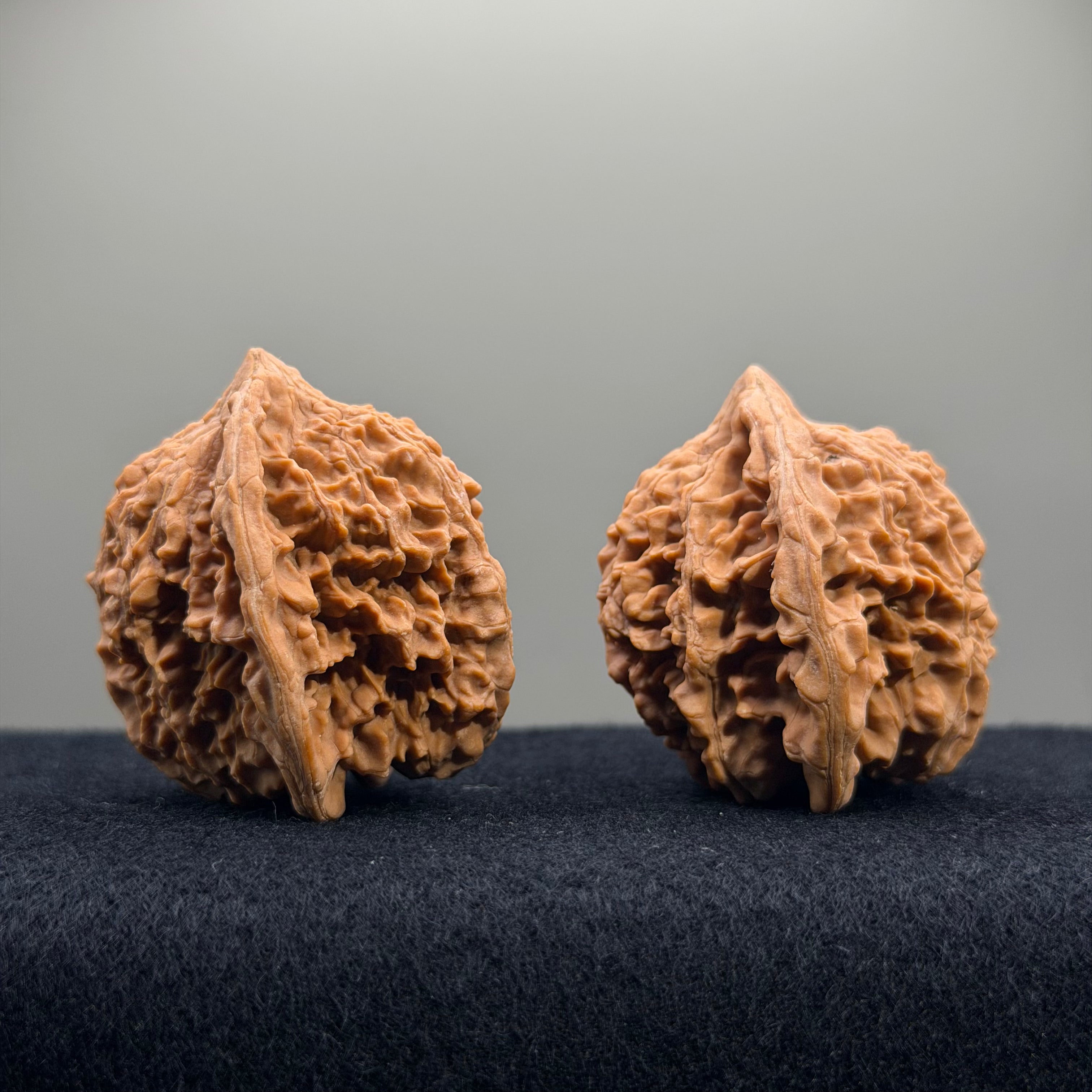Starry Sky Wenwan Walnut · 41mm · Natural · Entry Ritual
