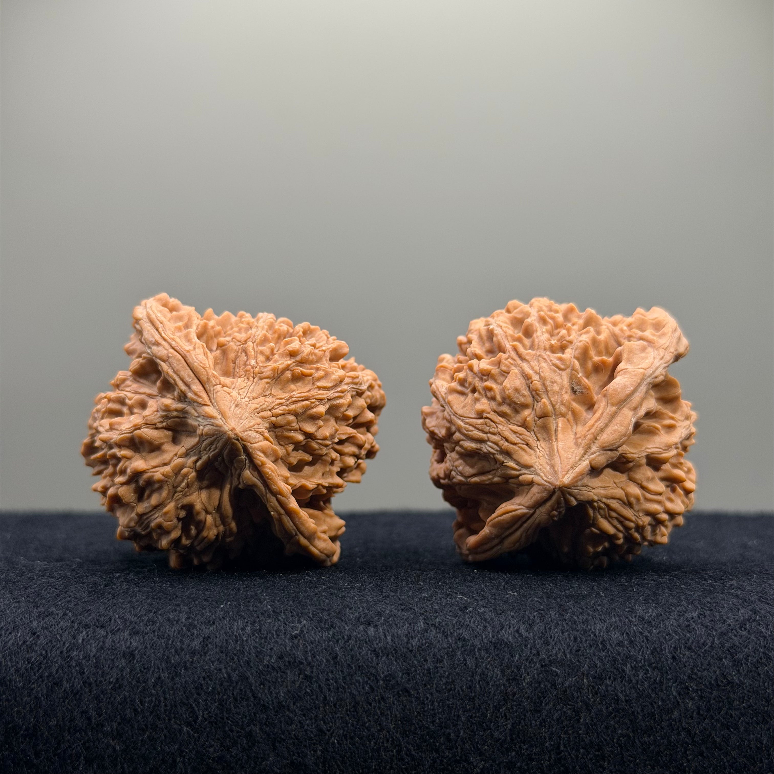 Starry Sky Wenwan Walnut · 41mm · Natural · Entry Ritual