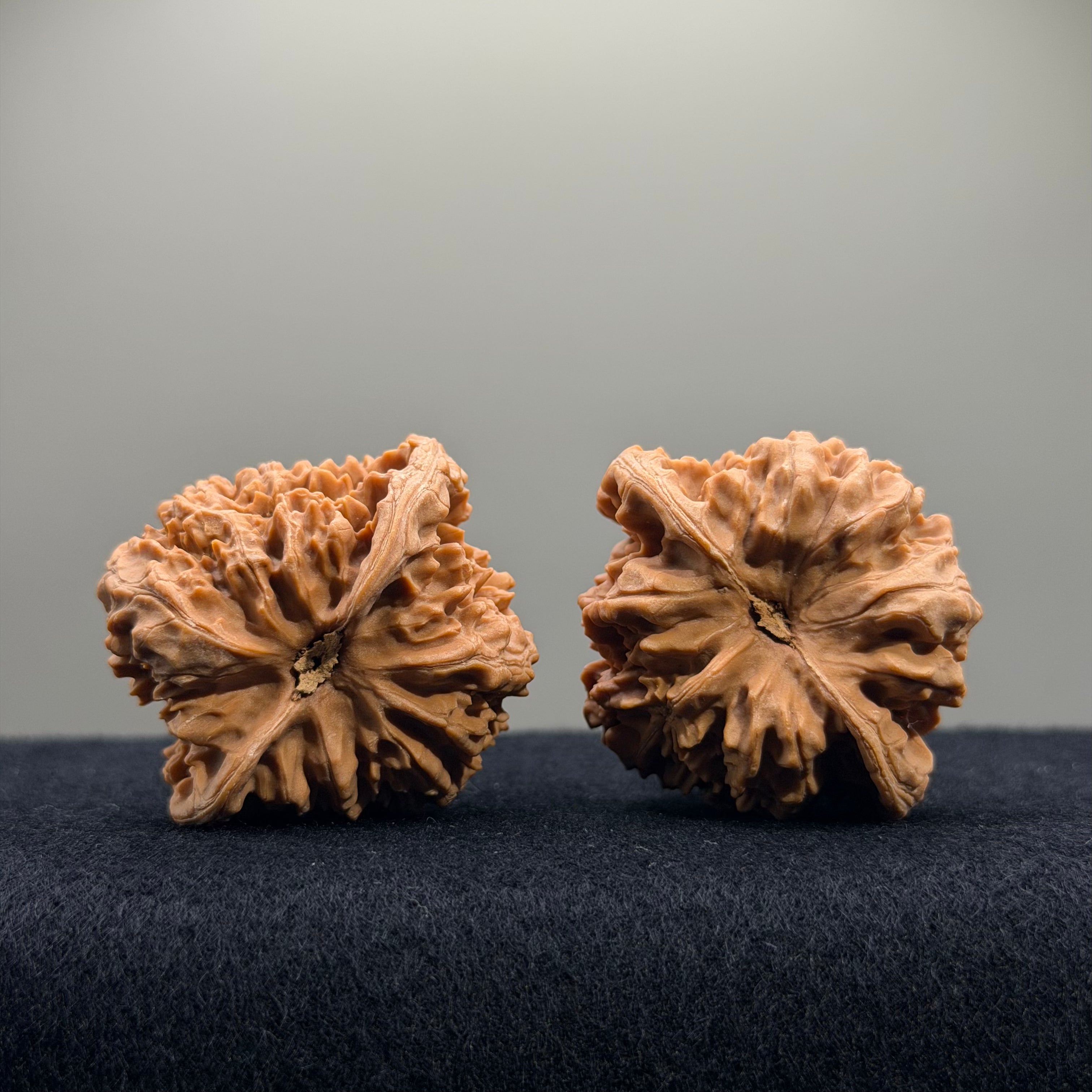 Starry Sky Wenwan Walnut · 41mm · Natural · Entry Ritual