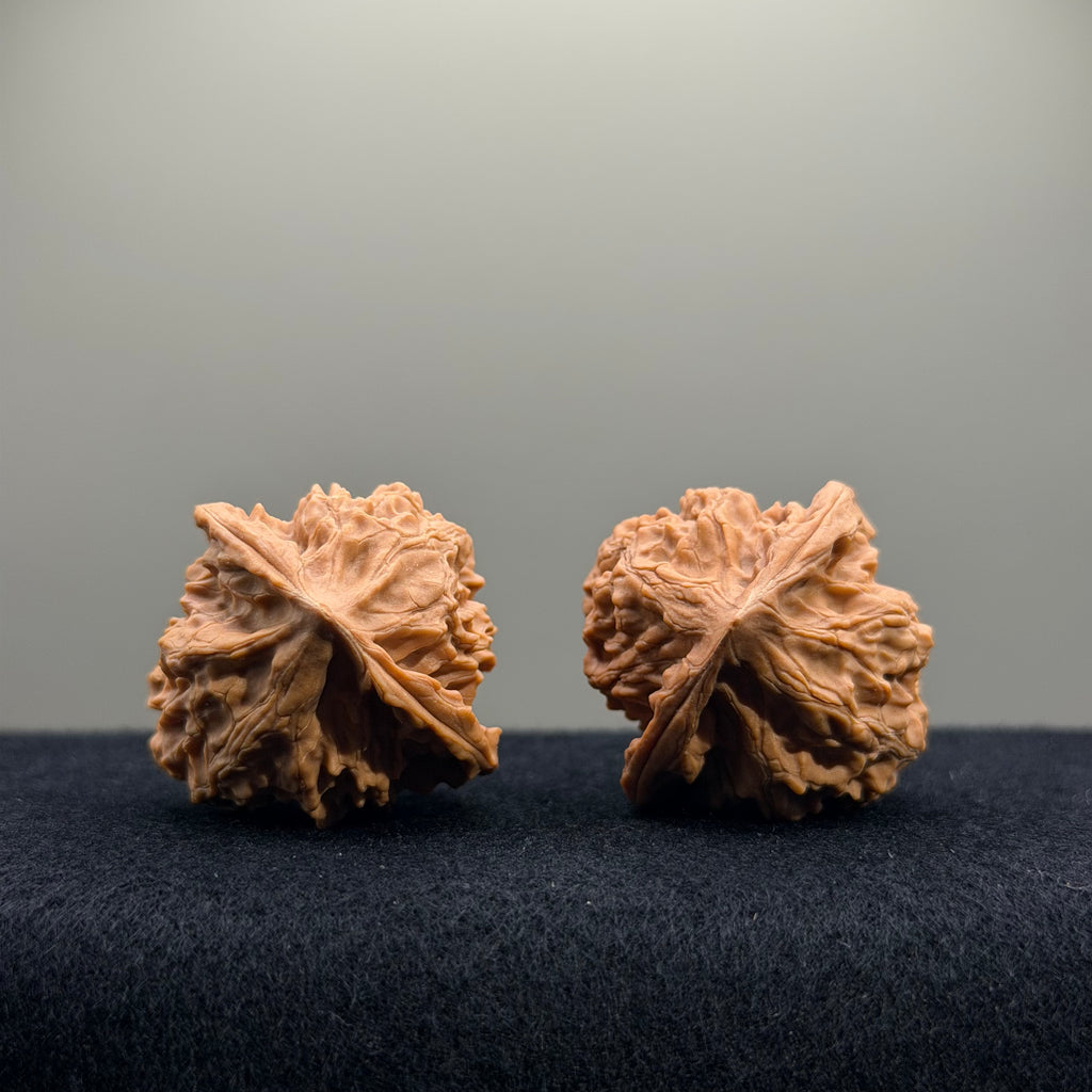 First Love Wenwan Walnut · 36mm · Natural · Entry Ritual