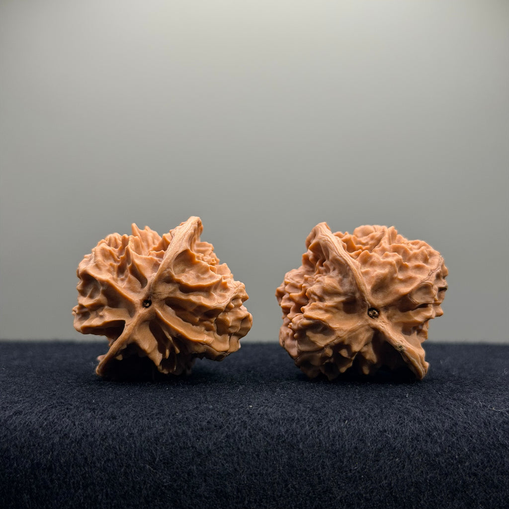 First Love Wenwan Walnut · 36mm · Natural · Entry Ritual