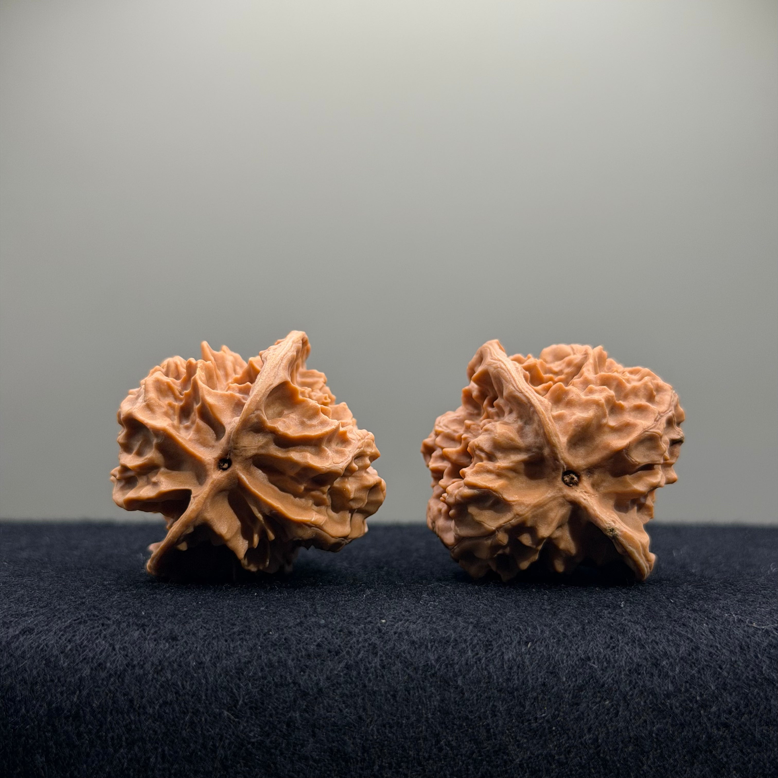 First Love Wenwan Walnut · 36mm · Natural · Entry Ritual
