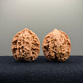 First Love Wenwan Walnut · 34mm · Natural · Entry Ritual