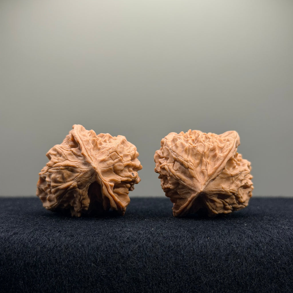 First Love Wenwan Walnut · 34mm · Natural · Entry Ritual