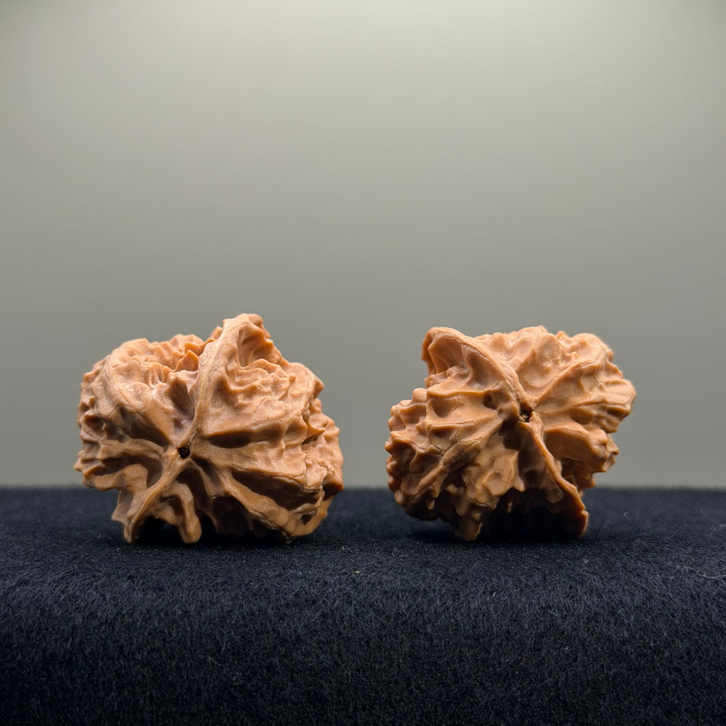 First Love Wenwan Walnut · 34mm · Natural · Entry Ritual