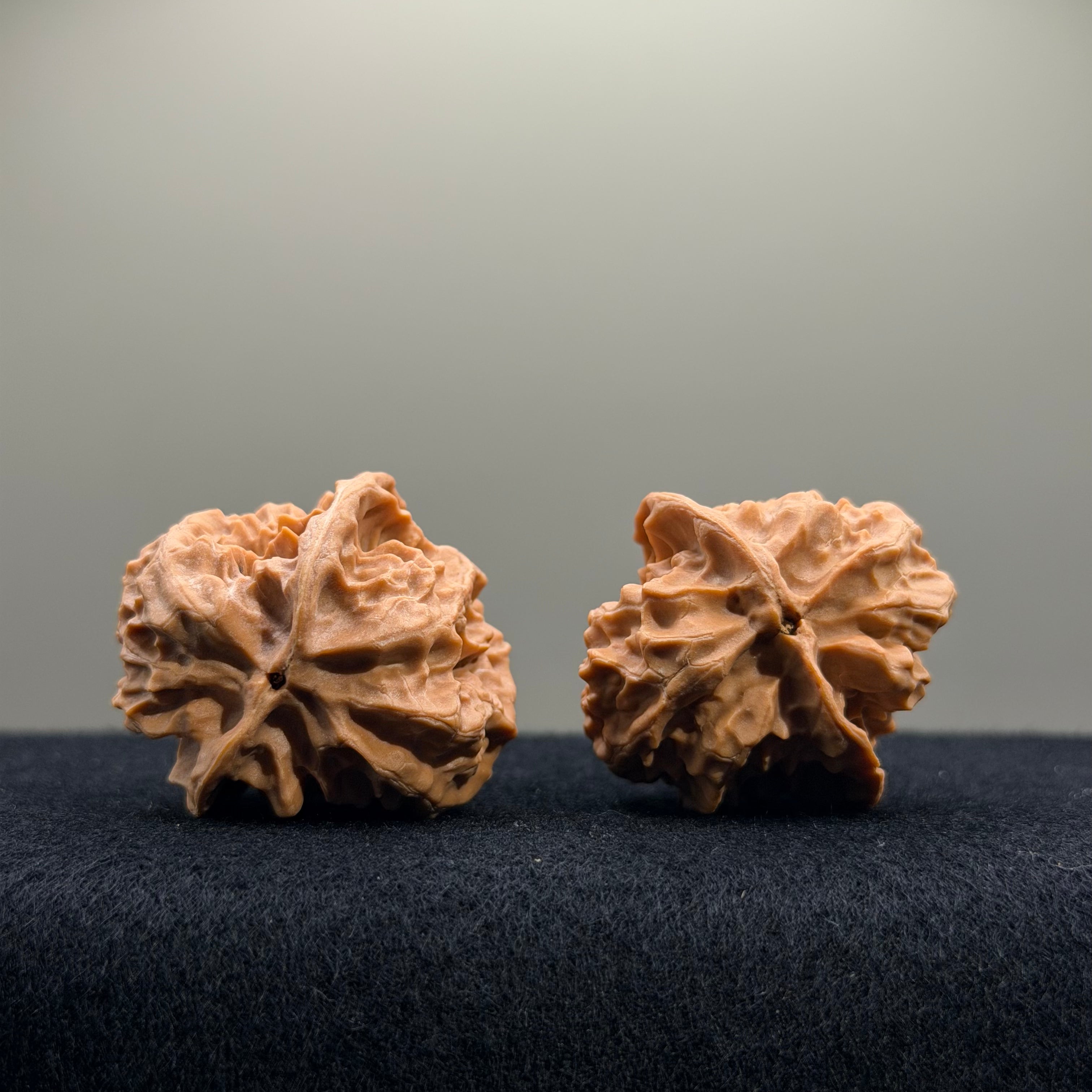 First Love Wenwan Walnut · 34mm · Natural · Entry Ritual
