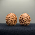 First Love Wenwan Walnut · 33mm · Natural · Entry Ritual