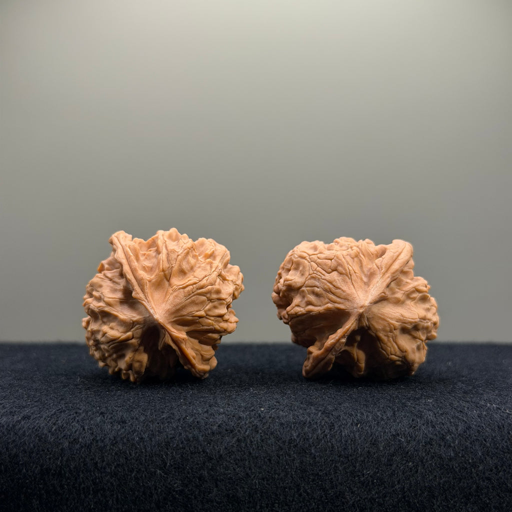 First Love Wenwan Walnut · 33mm · Natural · Entry Ritual