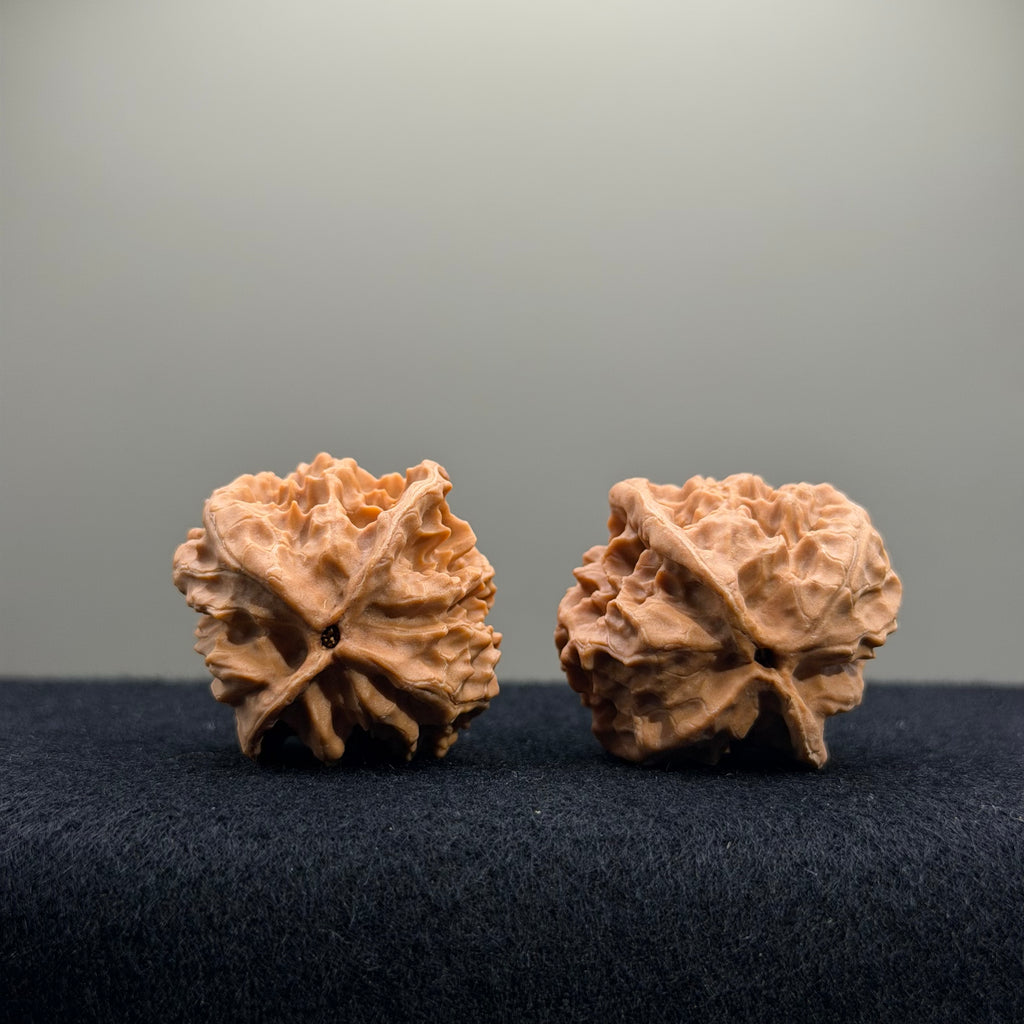First Love Wenwan Walnut · 33mm · Natural · Entry Ritual