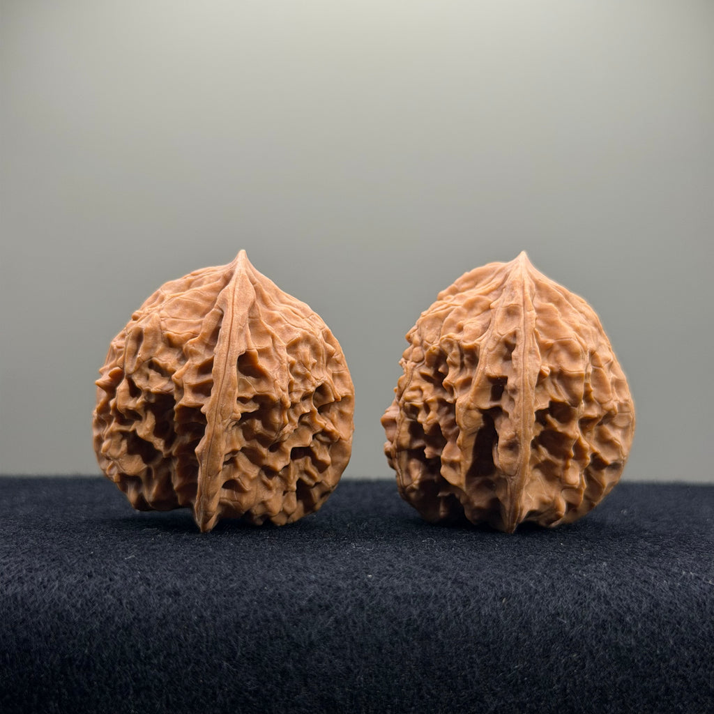 First Love Wenwan Walnut · 36mm · Natural · Entry Ritual