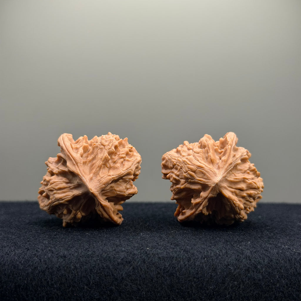 First Love Wenwan Walnut · 36mm · Natural · Entry Ritual
