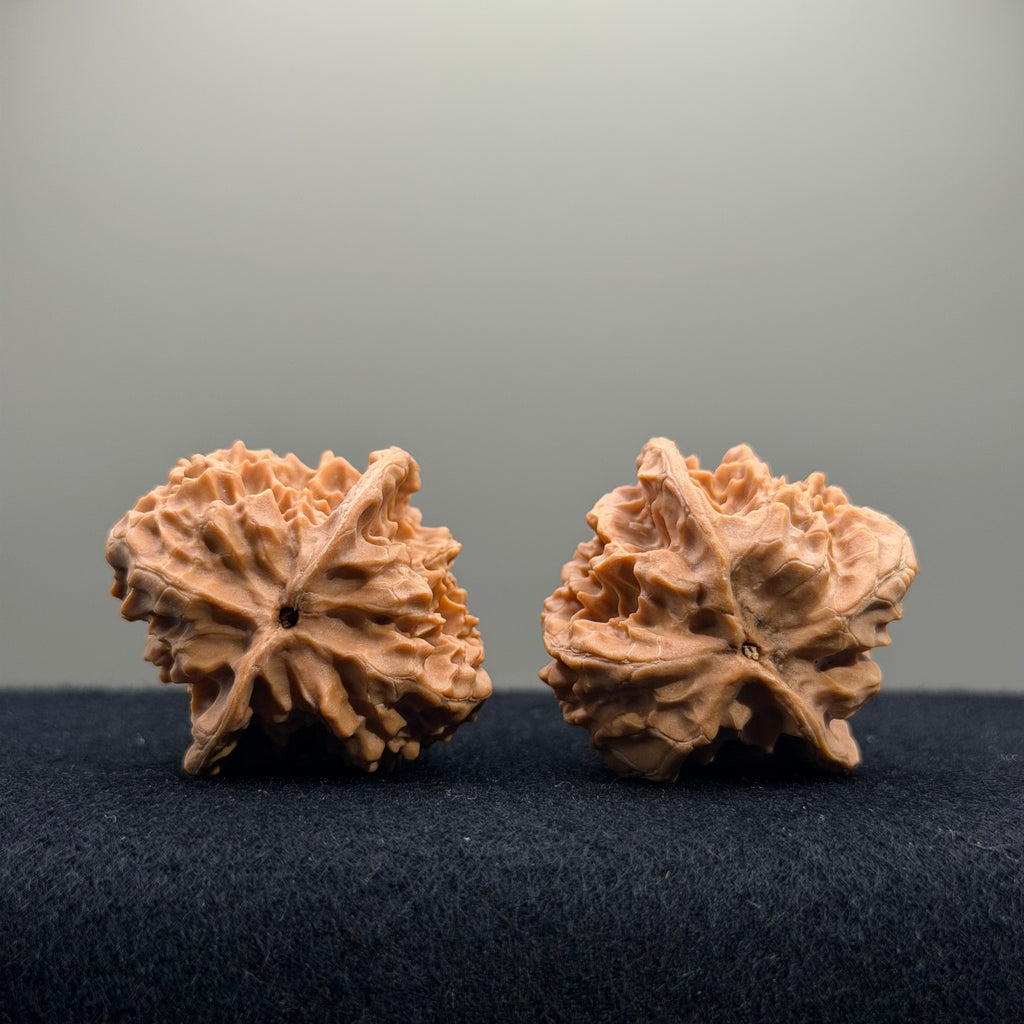First Love Wenwan Walnut · 36mm · Natural · Entry Ritual