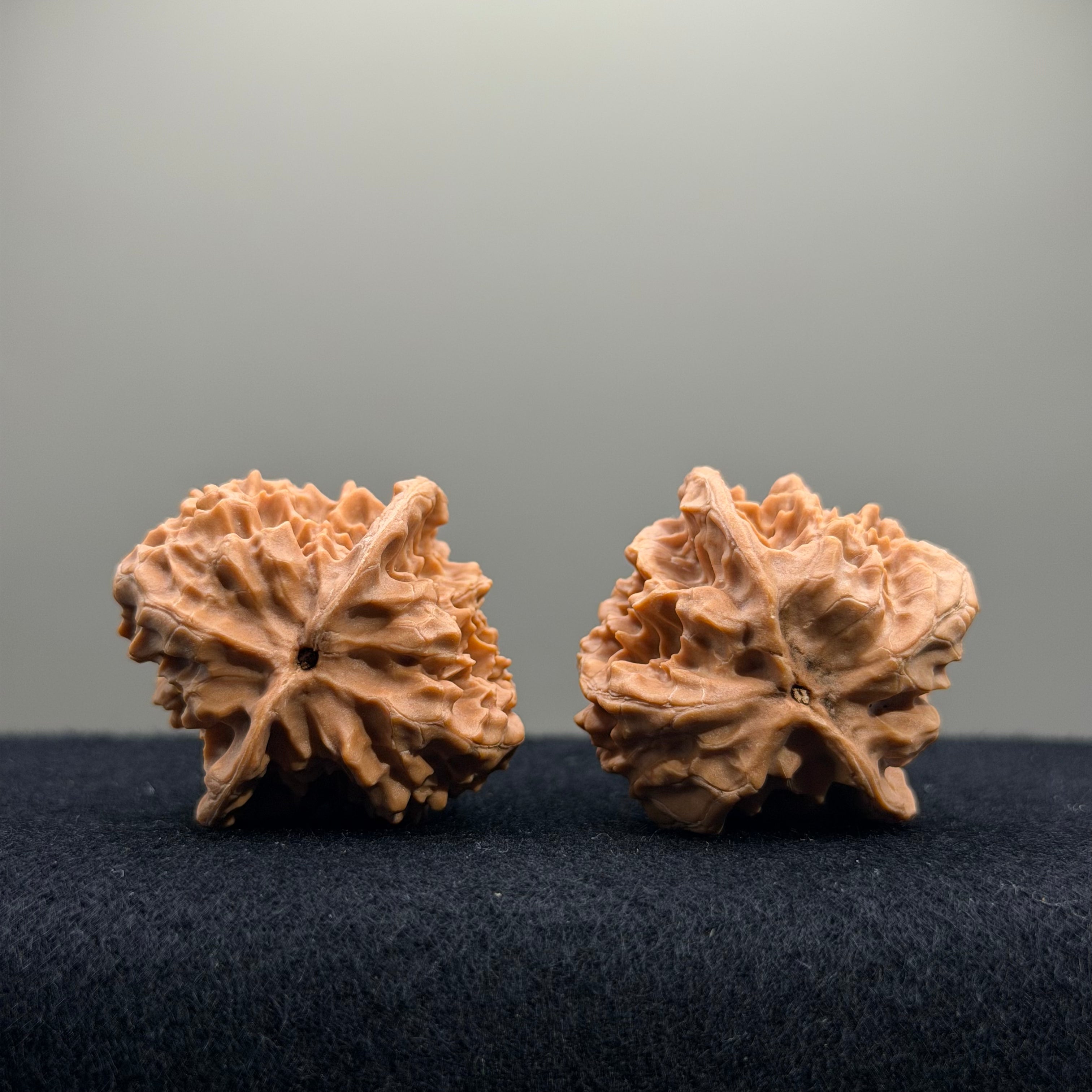 First Love Wenwan Walnut · 36mm · Natural · Entry Ritual