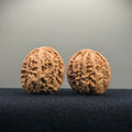 CowBoy Wenwan Walnut · 38mm · Natural · Entry Ritual