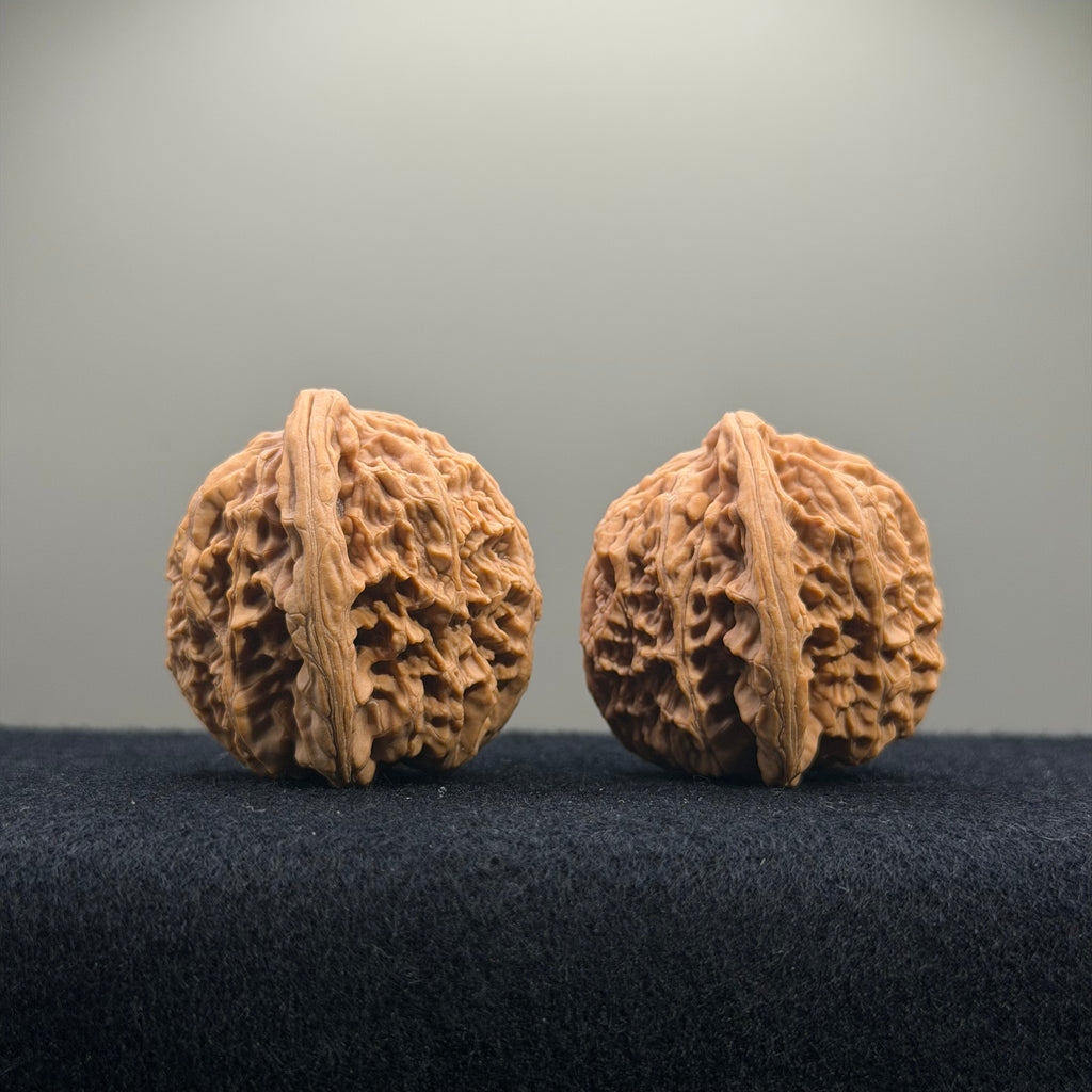 CowBoy Wenwan Walnut · 38mm · Natural · Entry Ritual