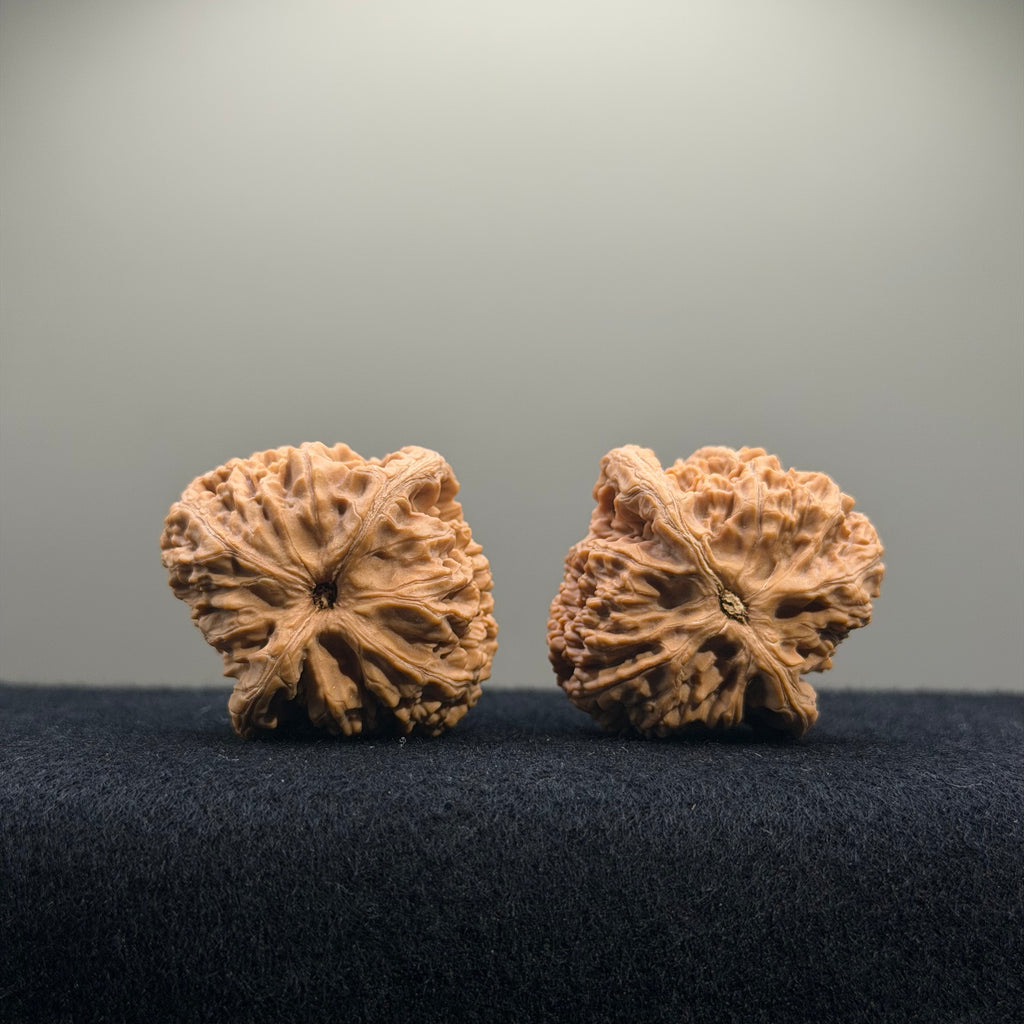 CowBoy Wenwan Walnut · 38mm · Natural · Entry Ritual